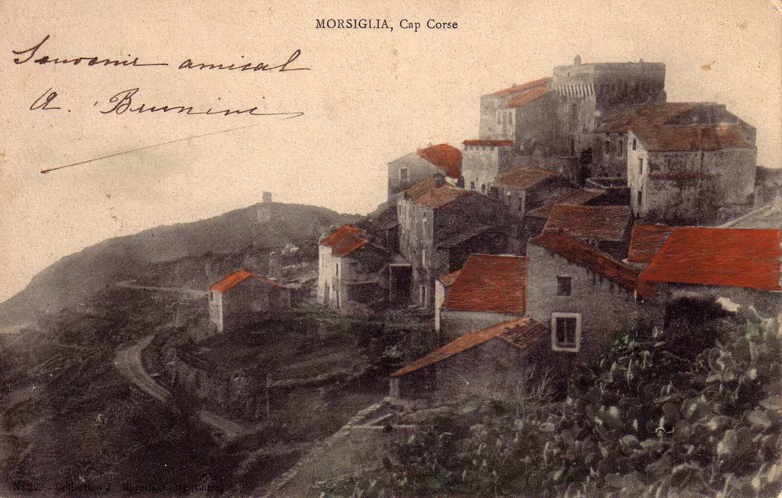 รูปถ่าย ฝรั่งเศส(France) คอร์สิคา(Corsica) โปสการ์ดเก่า(Old Postcards) 1900-01 96
