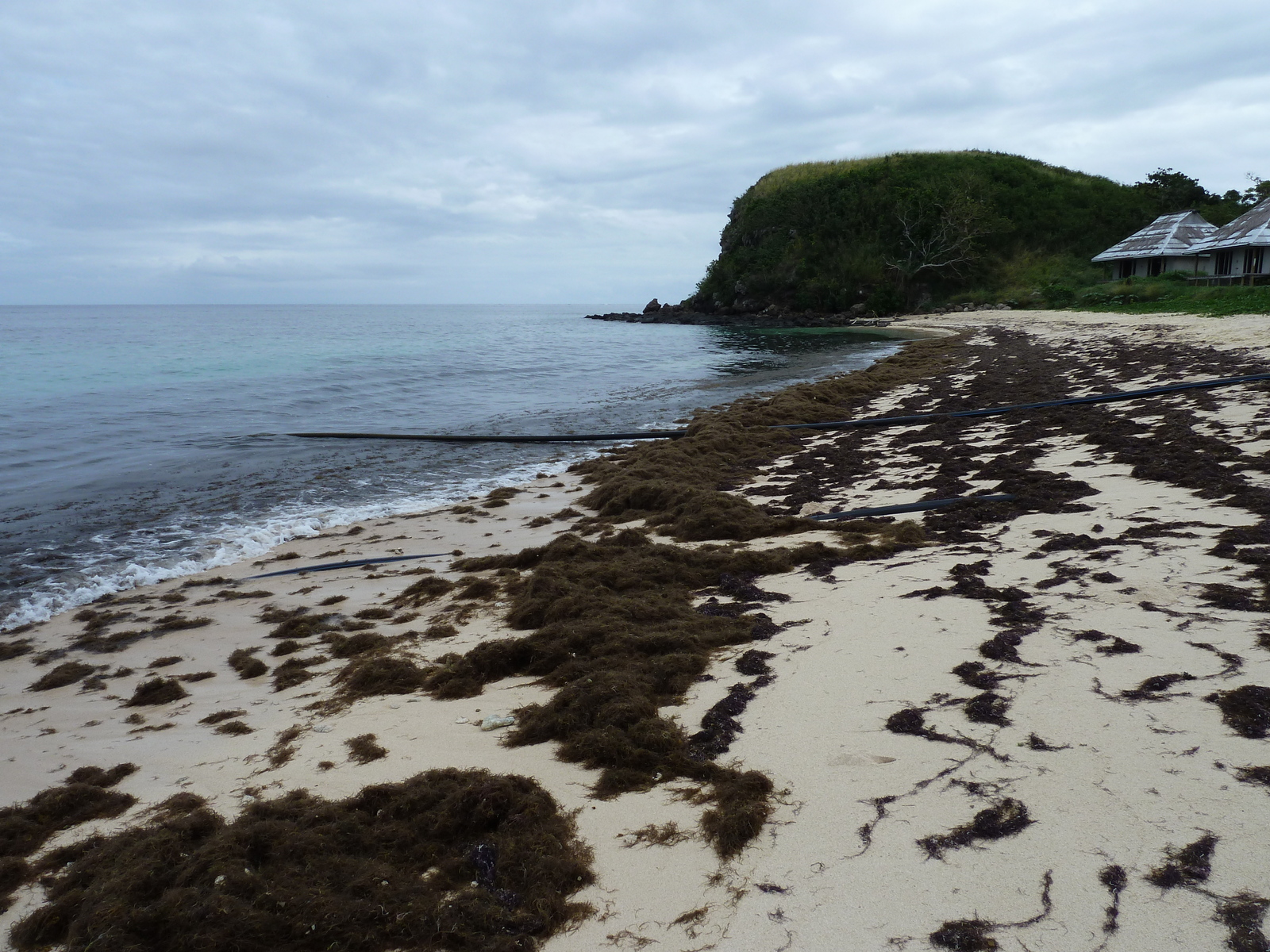 รูปถ่าย ฟิจิ(Fiji) รีสอร์ตเกาะอามูนูกา(Amunuca Island Resort) 2010-05 108