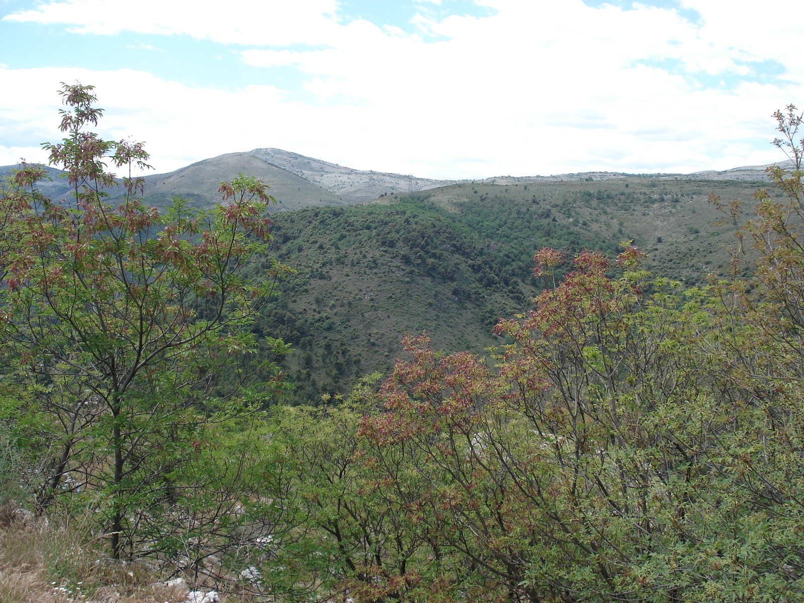 รูปถ่าย ฝรั่งเศส(France) วังซ์(Vence) บาอู(Baou) 2006-06 22