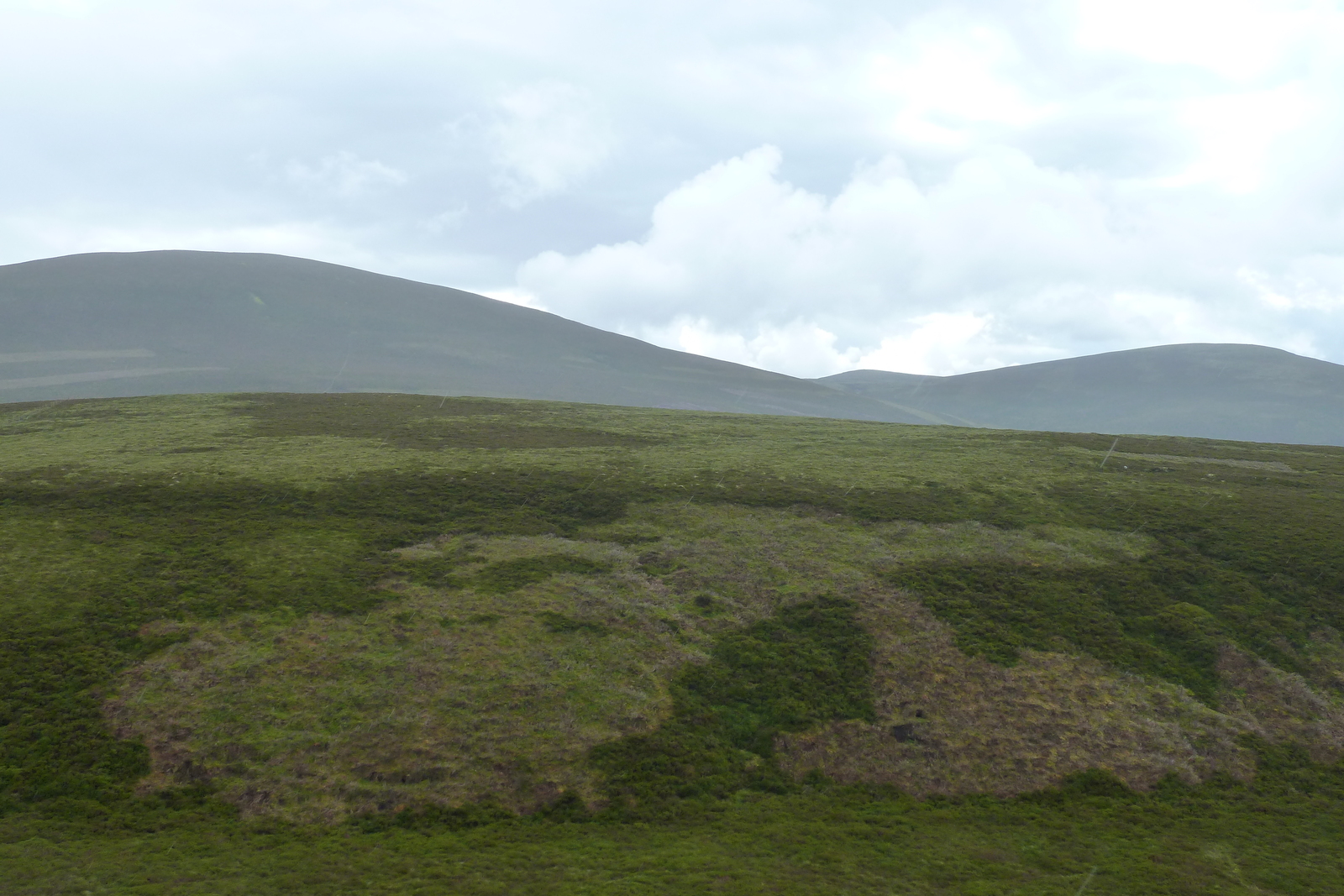 รูปถ่าย อังกฤษ(United Kingdom) อุทยานแห่งชาติแคร์นกอร์มส์(Cairngorms National Park) 2011-07 134