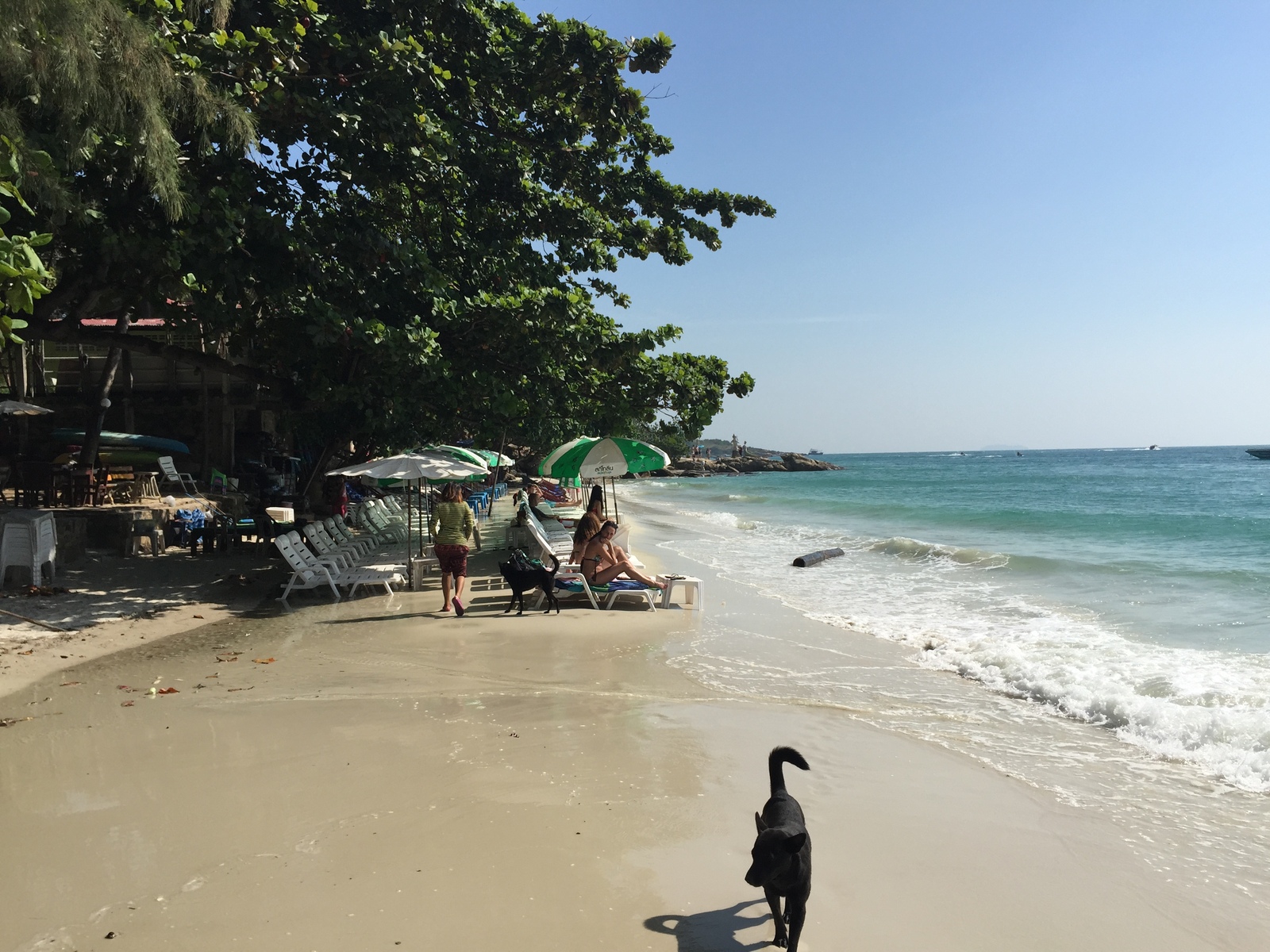 รูปถ่าย ไทย(Thailand) เกาะเสม็ด(Ko Samet) 2014-12 151