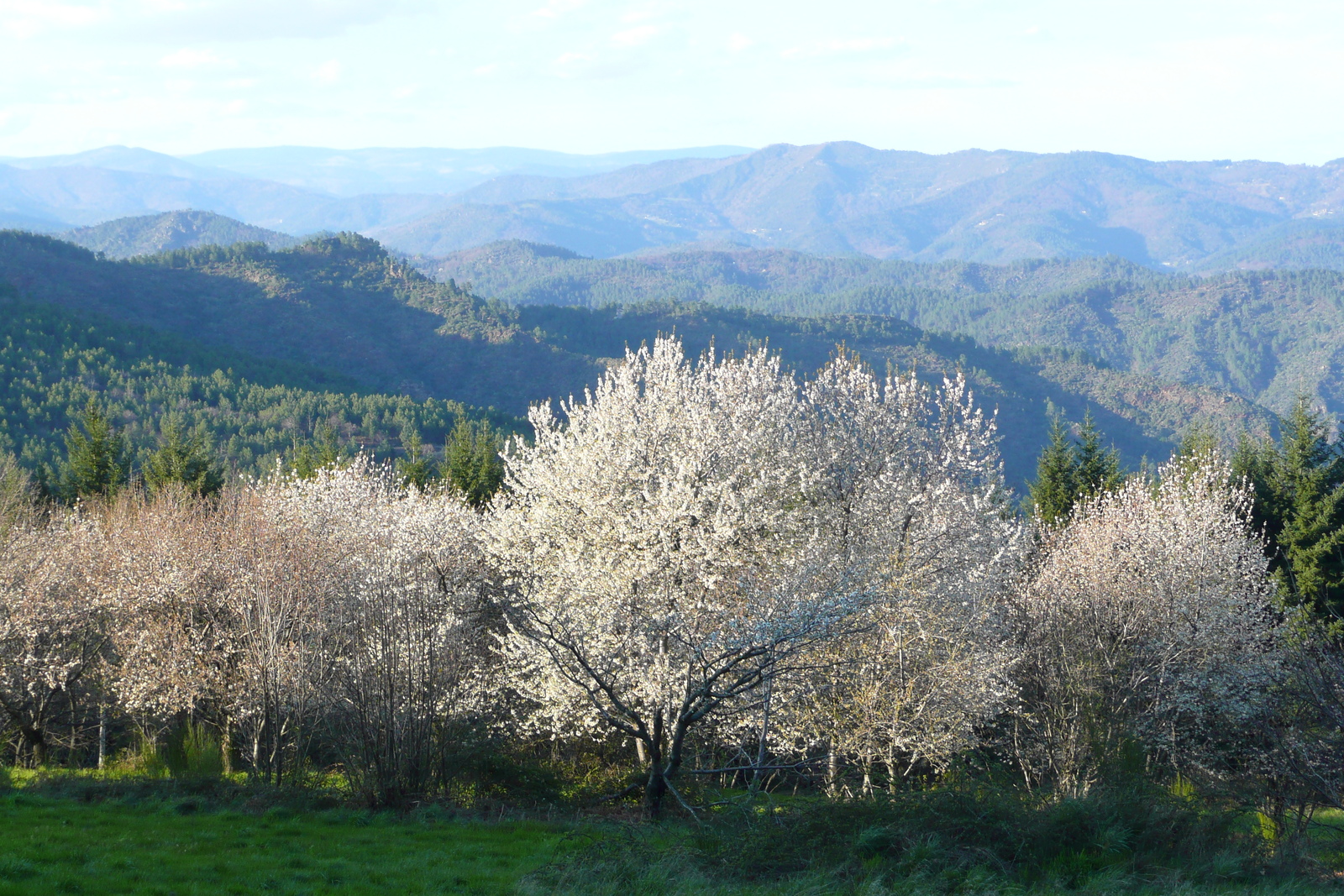 รูปถ่าย ฝรั่งเศส(France) เทือกเขาเซแวน(Cevennes Mountains) 2008-04 31