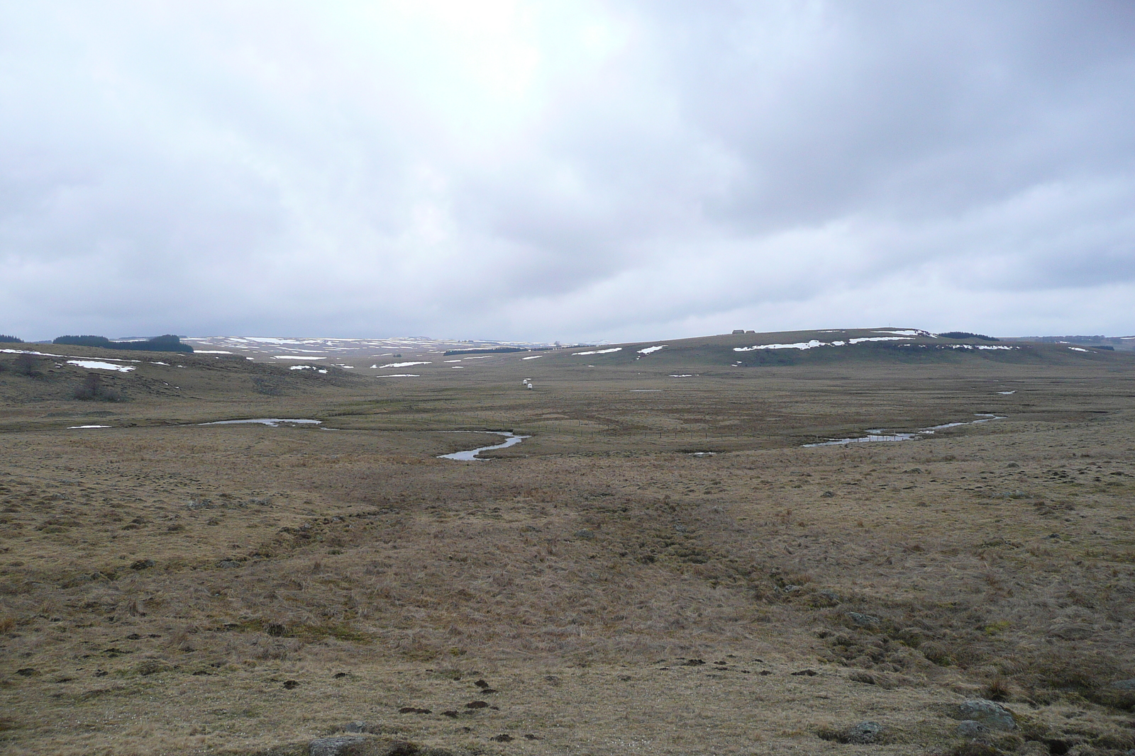 รูปถ่าย ฝรั่งเศส(France) โอบรัก(L'Aubrac) 2008-04 9