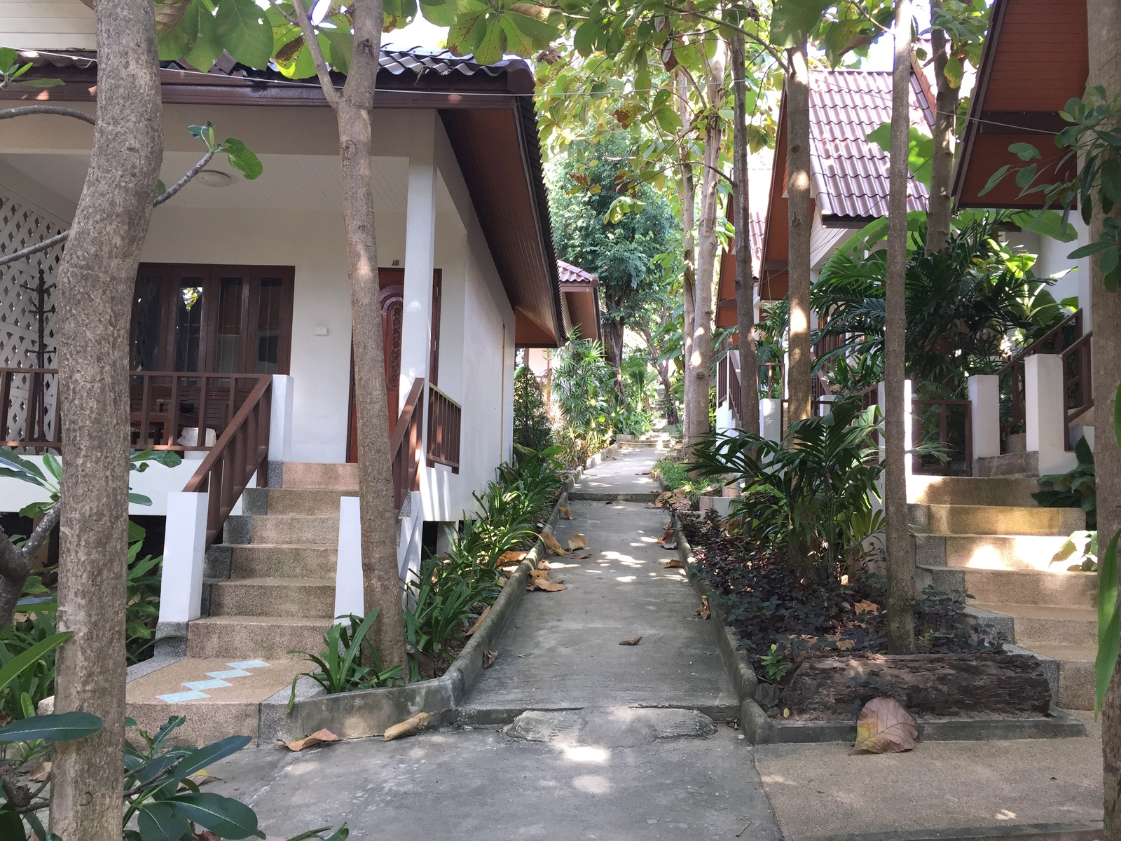 รูปถ่าย ไทย(Thailand) เกาะเสม็ด(Ko Samet) 2014-12 231