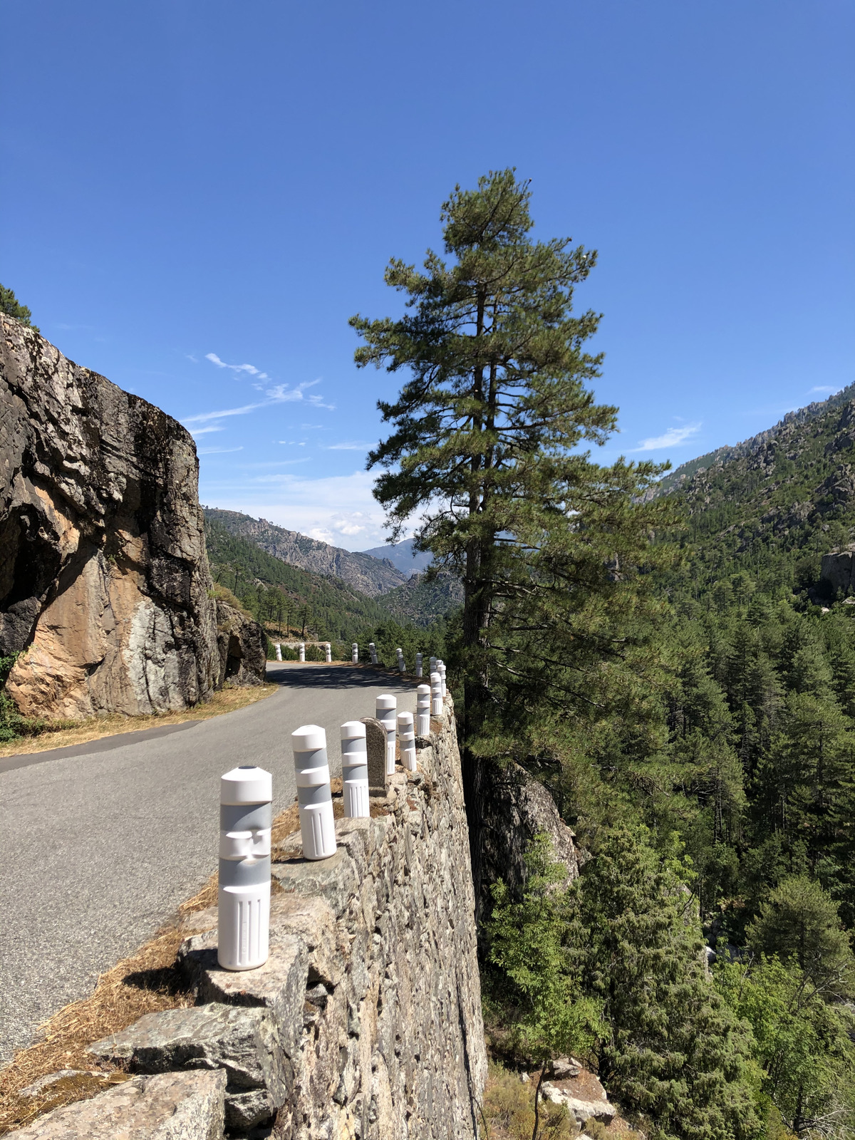 รูปถ่าย ฝรั่งเศส(France) คอร์สิคา(Corsica) หุบเขาลาเรสโตนีกา(La Restonica) 2020-07 80