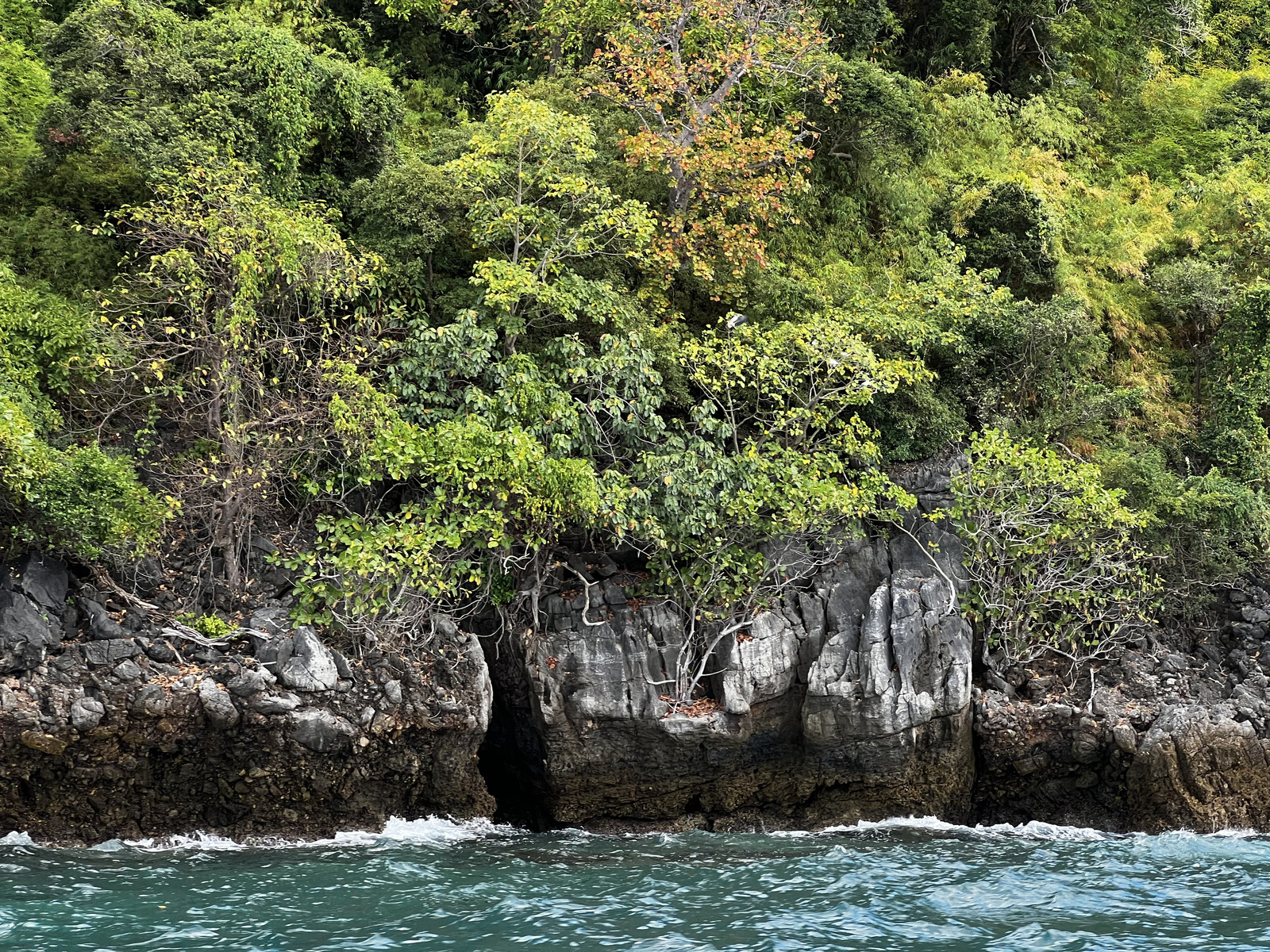 รูปถ่าย ไทย(Thailand) เกาะพีพีเล(Ko Phi Phi Ley) 2021-12 19
