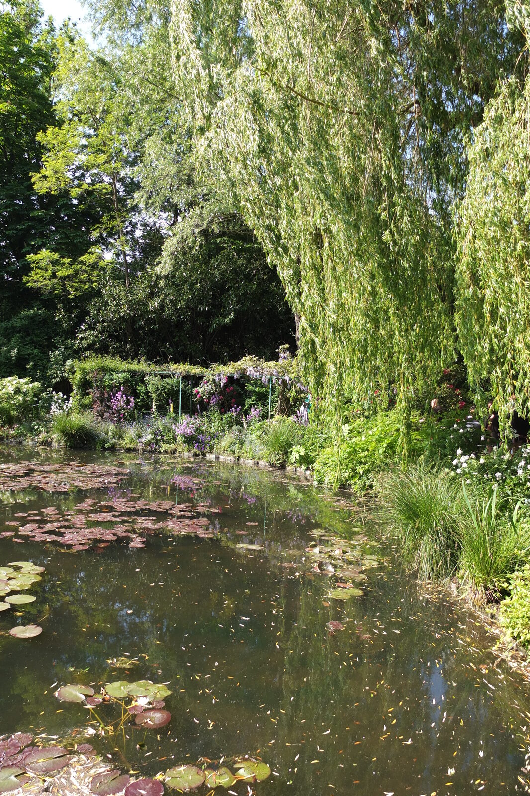 รูปถ่าย ฝรั่งเศส(France) ฌีแวร์นี(Giverny) 2013-06 192