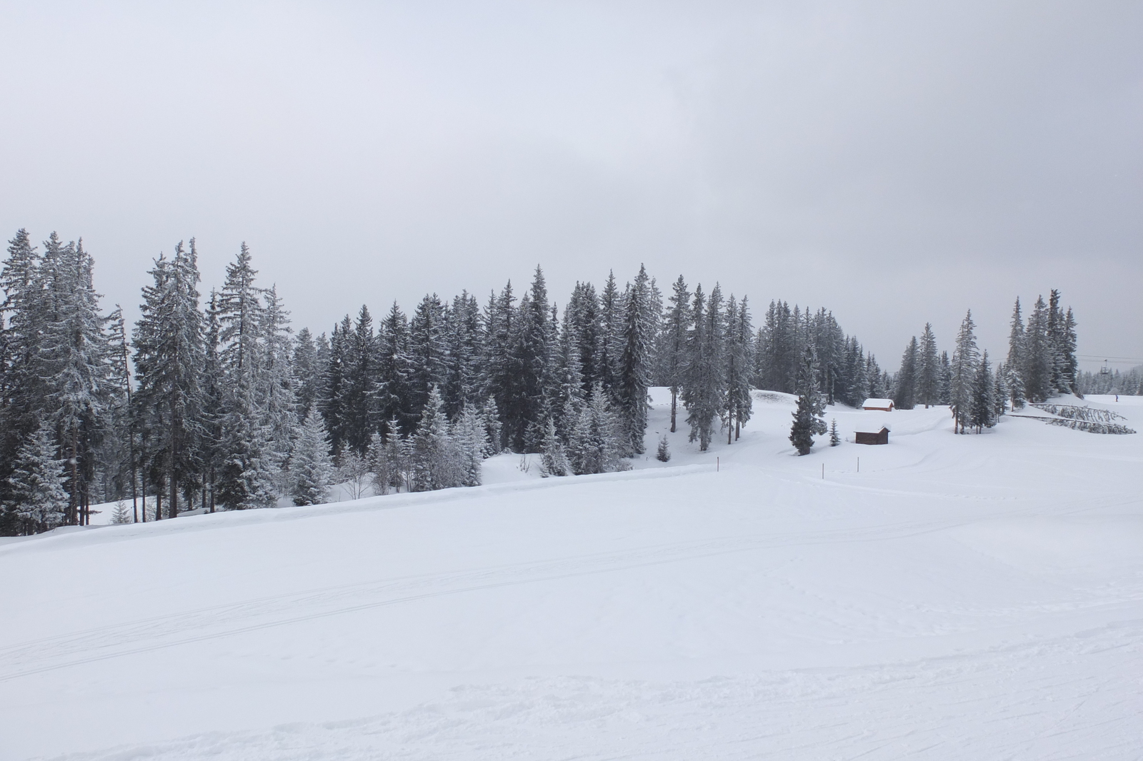 รูปถ่าย ฝรั่งเศส(France) เลทรัววาเล(Les 3 Vallees) 2013-03 100