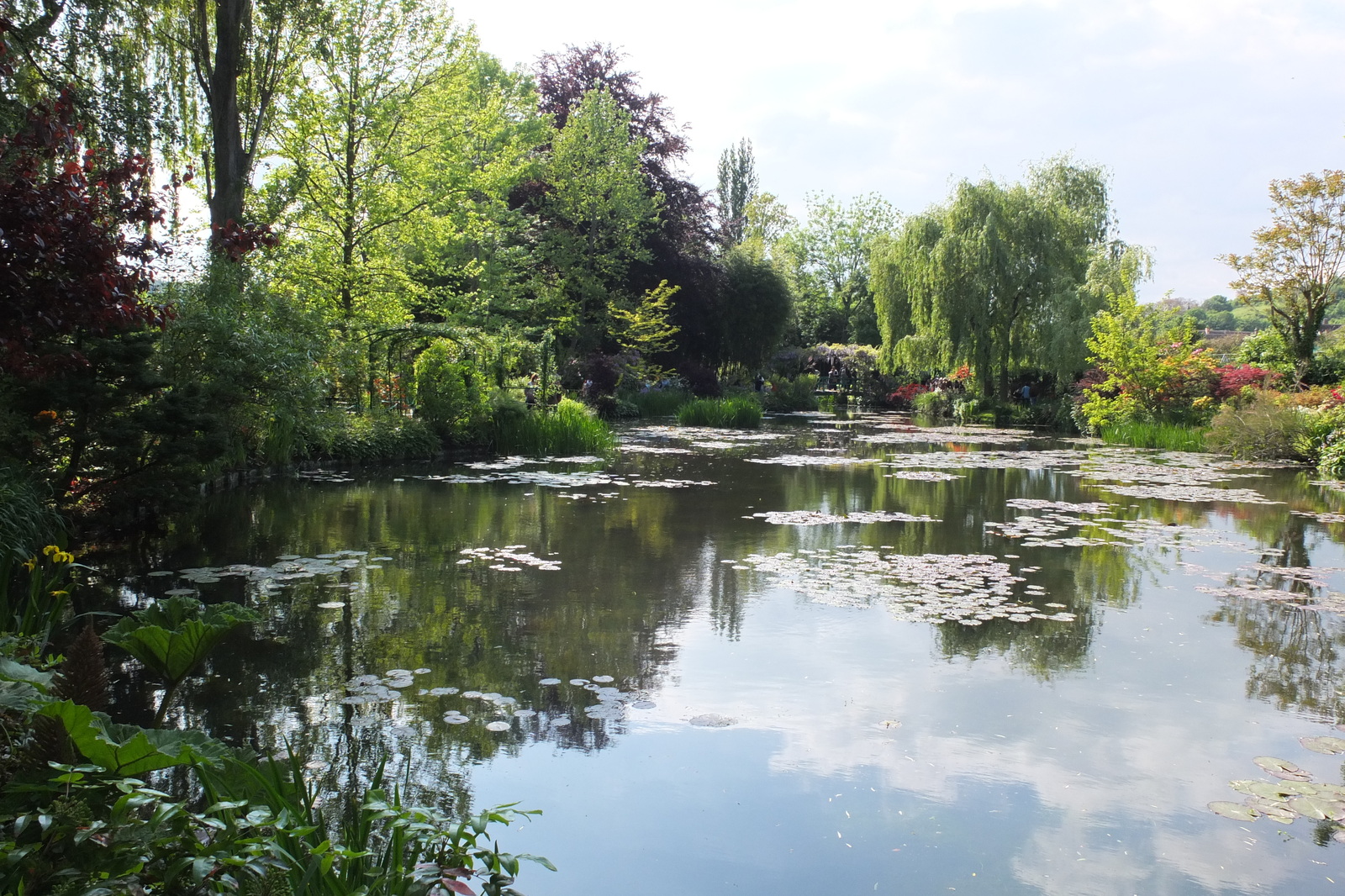 รูปถ่าย ฝรั่งเศส(France) ฌีแวร์นี(Giverny) 2013-06 202