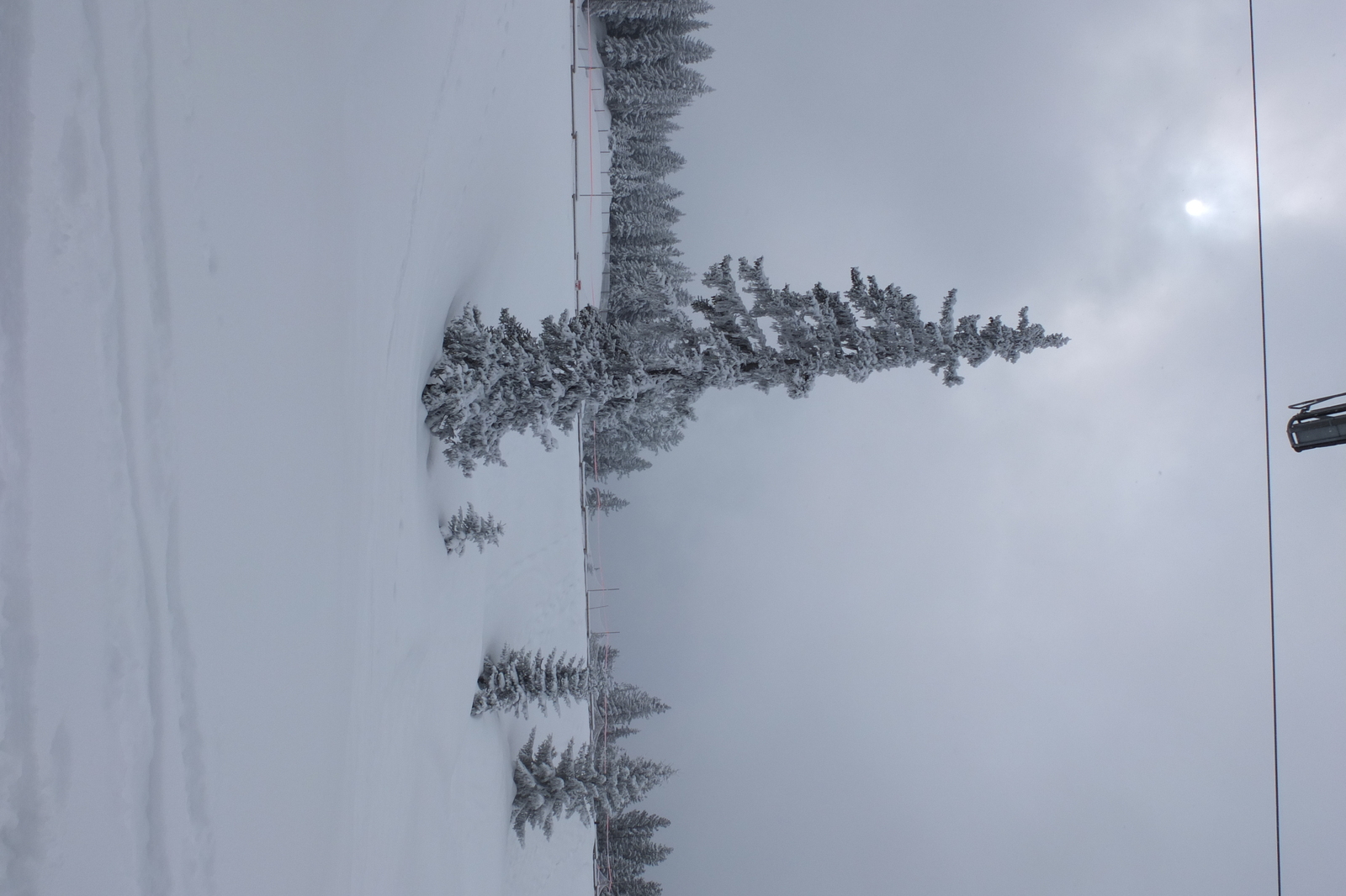 รูปถ่าย ฝรั่งเศส(France) เลทรัววาเล(Les 3 Vallees) 2013-03 381