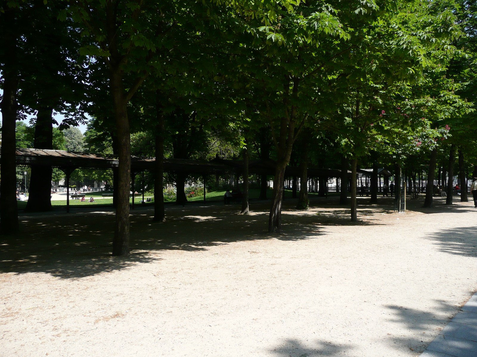 รูปถ่าย ฝรั่งเศส(France) ปารีส(Paris) ช็องเซลีเซ(Champs Elysees) 2007-05 15