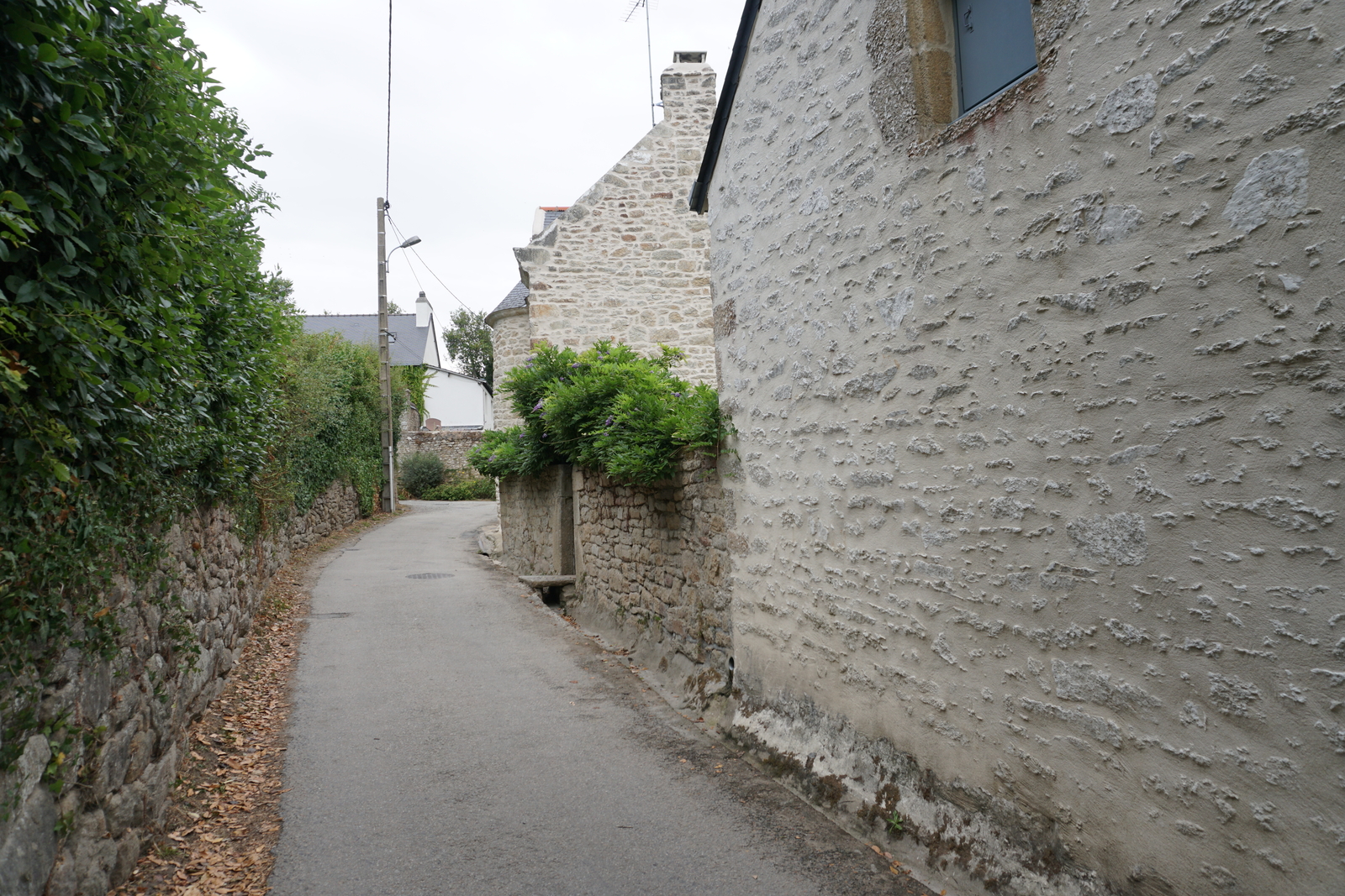 รูปถ่าย ฝรั่งเศส(France) เกาะโอมวน(Ile-aux-Moines) 2016-08 4