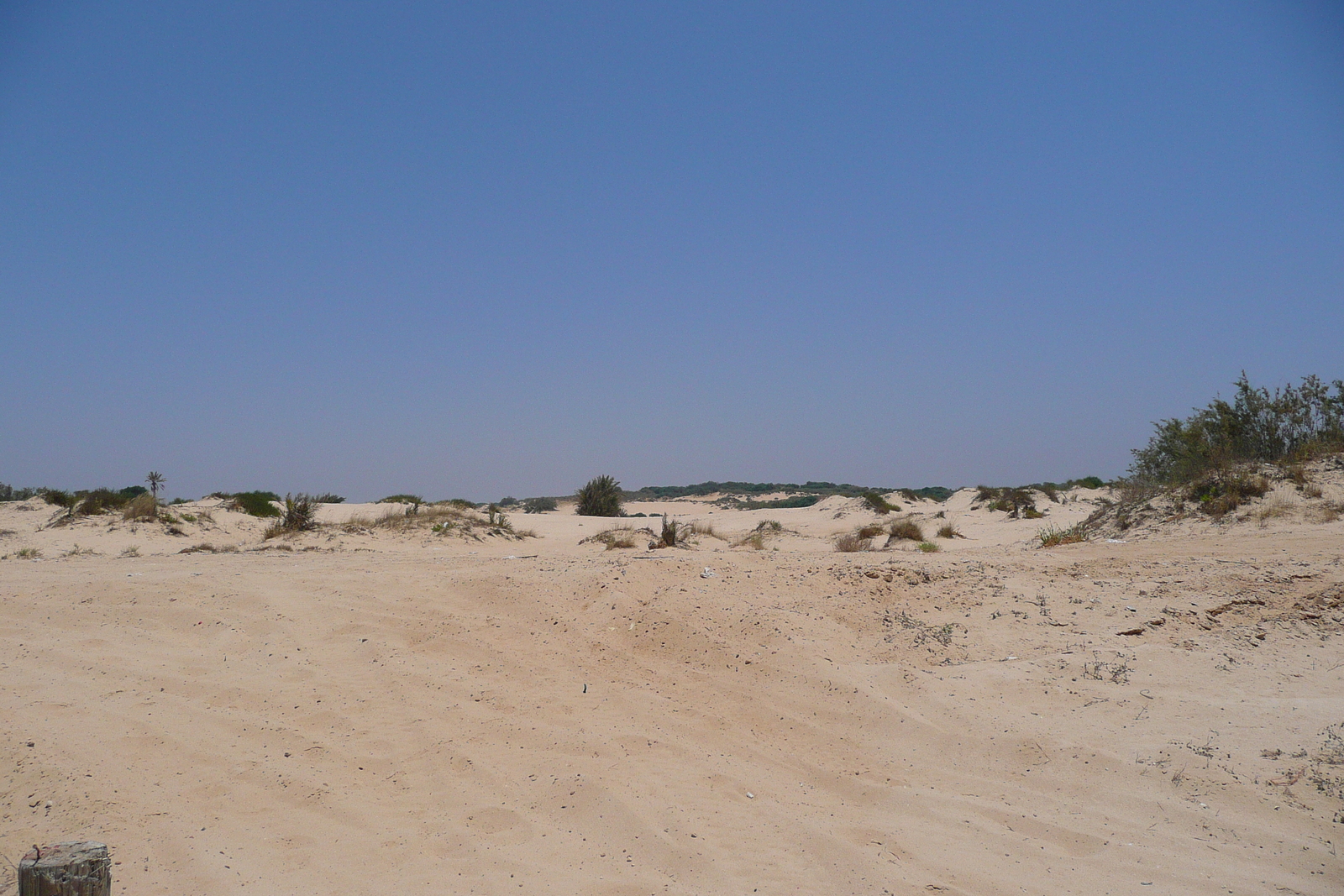 รูปถ่าย อิสราเอล(Israel) นิทซาน(Nitzan) 2007-06 32