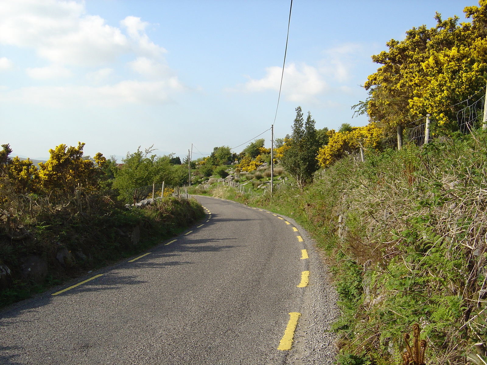 รูปถ่าย ไอร์แลนด์(Ireland) เคอร์รี่(Kerry) ทะเลสาบคารา(Caragh Lake) 2004-05 11