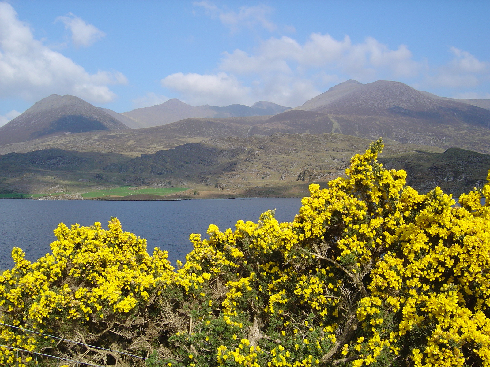 รูปถ่าย ไอร์แลนด์(Ireland) เคอร์รี่(Kerry) ทะเลสาบคารา(Caragh Lake) 2004-05 35
