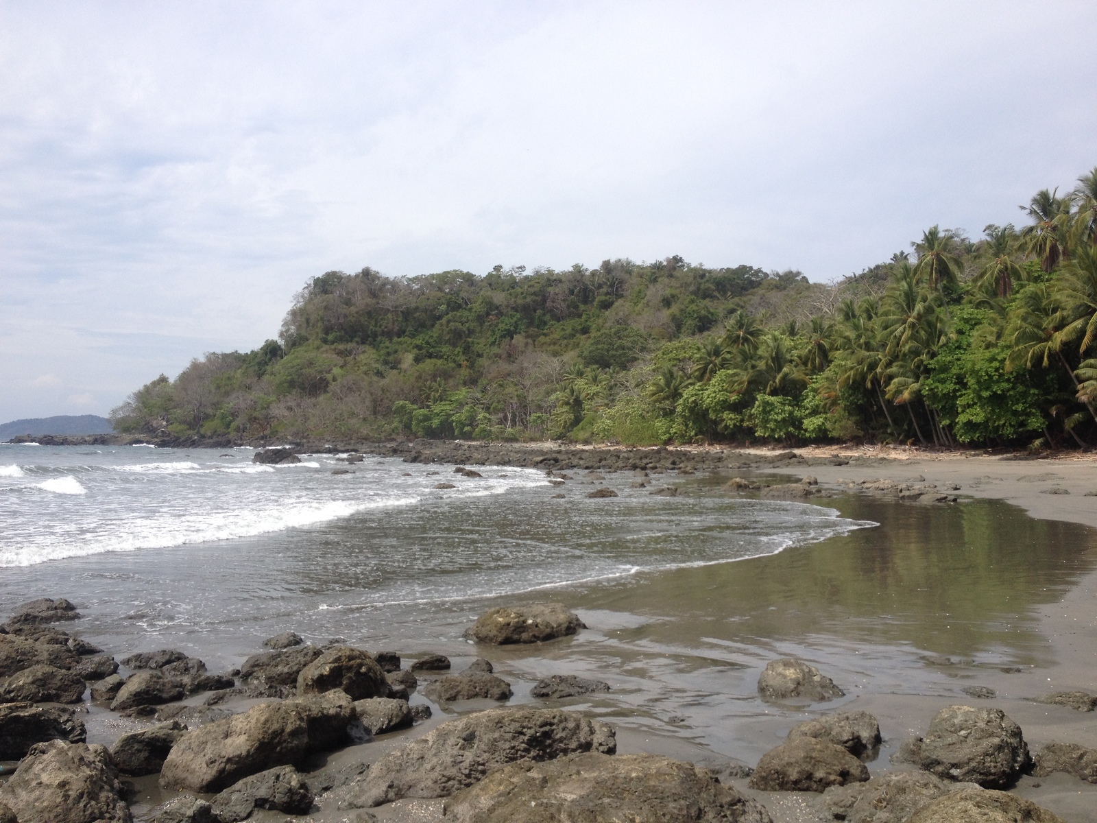 รูปถ่าย คอสตาริกา(Costa Rica) มอนเตซูมา(Montezuma) 2015-03 226