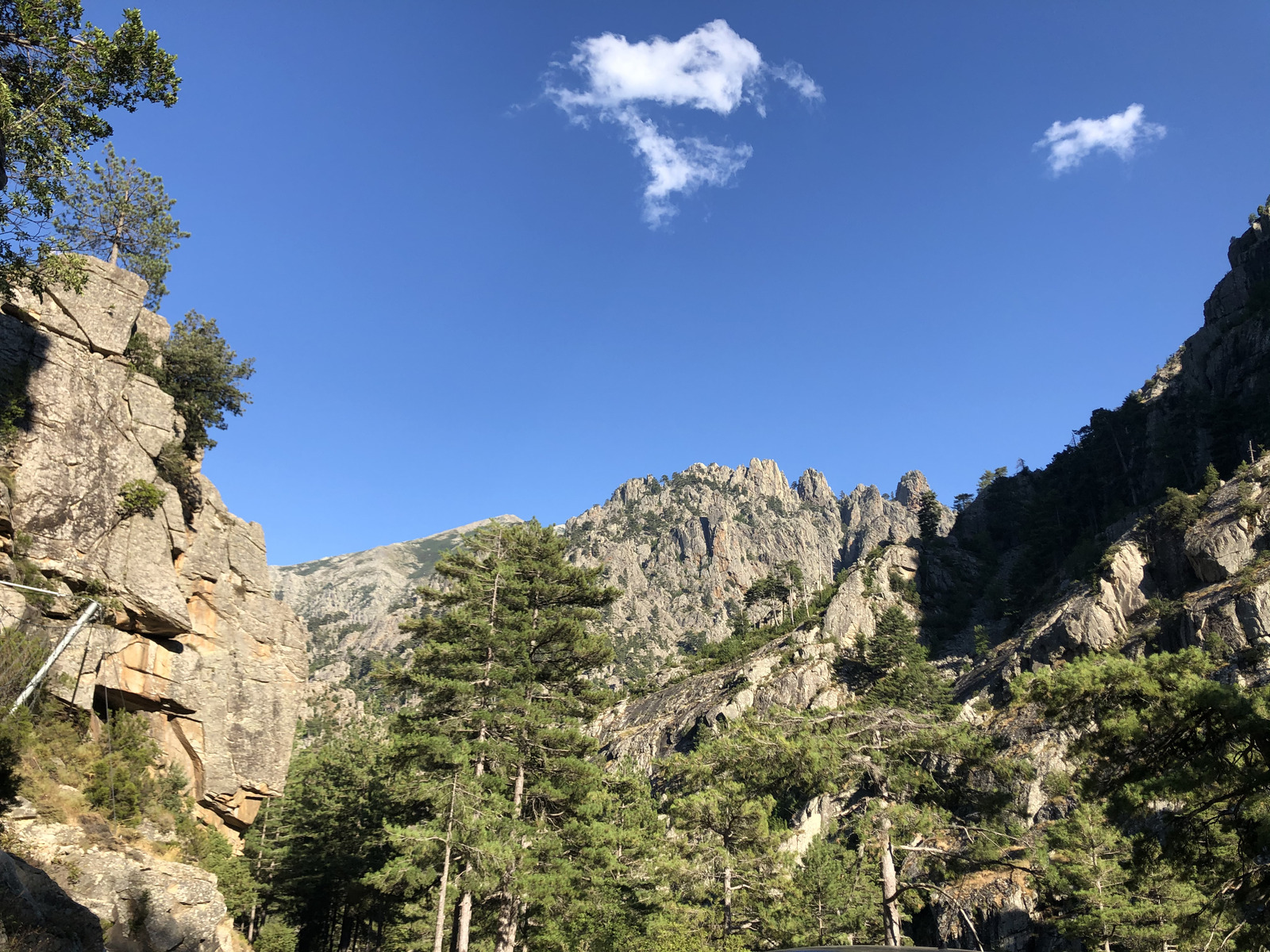 รูปถ่าย ฝรั่งเศส(France) คอร์สิคา(Corsica) หุบเขาลาเรสโตนีกา(La Restonica) 2020-07 101