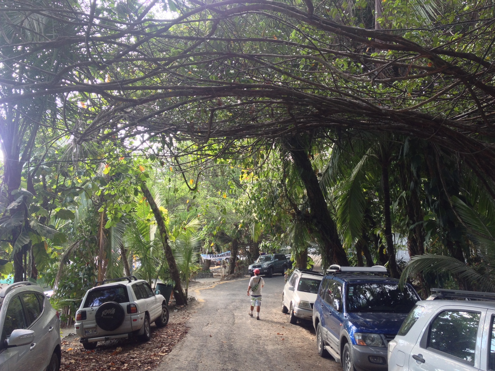 รูปถ่าย คอสตาริกา(Costa Rica) มานวยล์อันโตนีโอ(Manuel Antonio) 2015-03 260