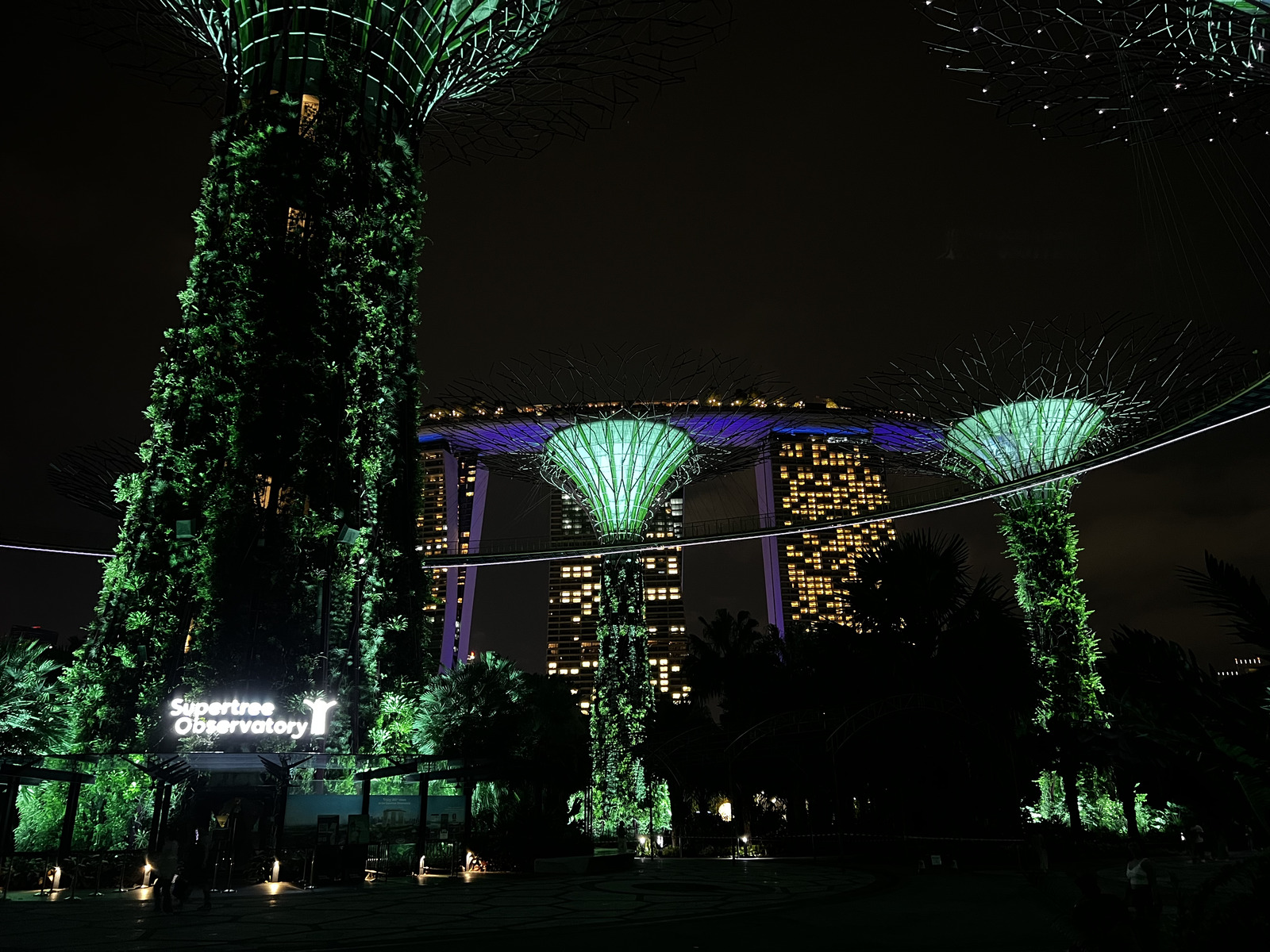 รูปถ่าย สิงคโปร์(Singapore) การ์เดนส์บายเดอะเบย์(Garden by the bay) 2023-01 10