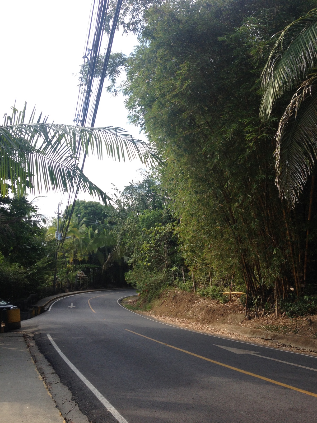 รูปถ่าย คอสตาริกา(Costa Rica) มานวยล์อันโตนีโอ(Manuel Antonio) 2015-03 182