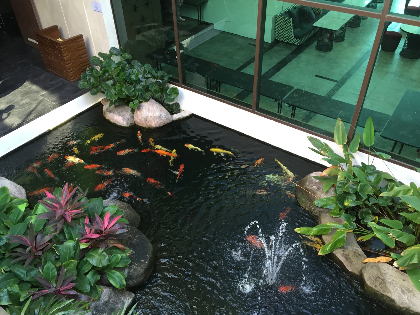 รูปถ่าย ไทย(Thailand) โรงแรมแมริออท ระยอง(Marriott Rayong) 2016-01 145
