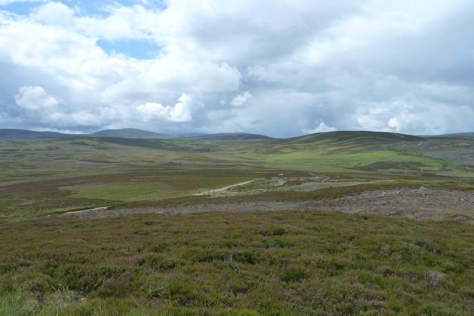 รูปถ่าย อังกฤษ(United Kingdom) อุทยานแห่งชาติแคร์นกอร์มส์(Cairngorms National Park) 2011-07 20