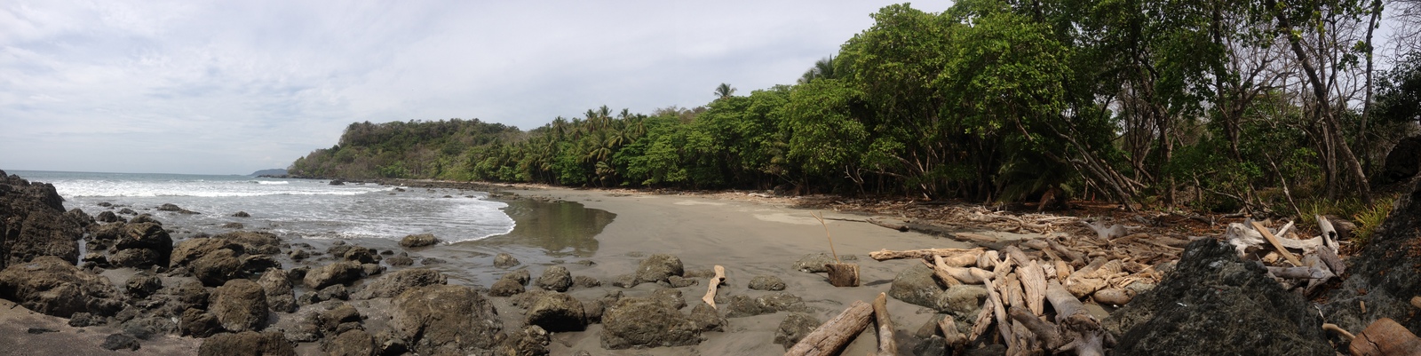 รูปถ่าย คอสตาริกา(Costa Rica) มอนเตซูมา(Montezuma) 2015-03 173