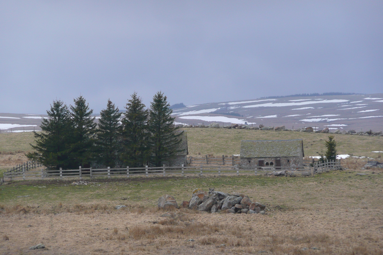 รูปถ่าย ฝรั่งเศส(France) โอบรัก(L'Aubrac) 2008-04 31