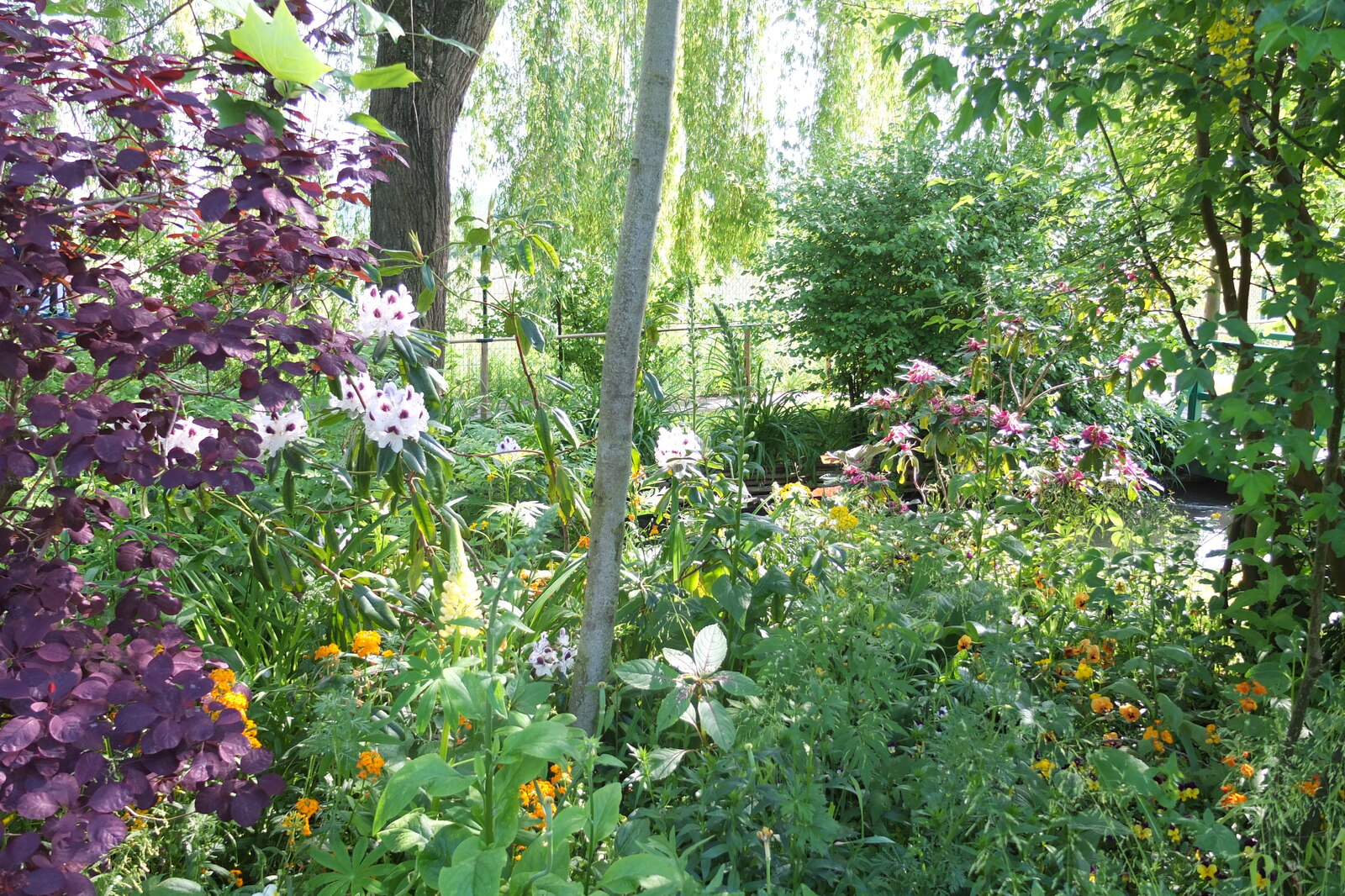 รูปถ่าย ฝรั่งเศส(France) ฌีแวร์นี(Giverny) 2013-06 203
