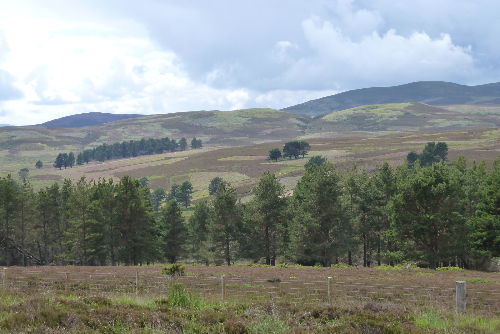รูปถ่าย อังกฤษ(United Kingdom) อุทยานแห่งชาติแคร์นกอร์มส์(Cairngorms National Park) 2011-07 7