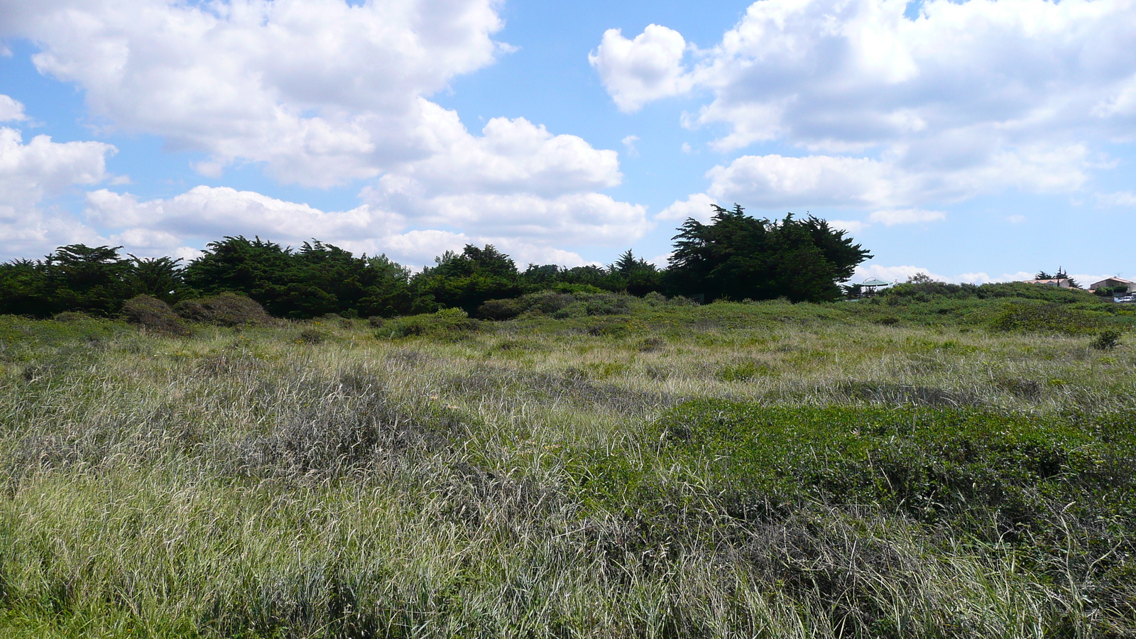 รูปถ่าย ฝรั่งเศส(France) เพรฟาย(Prefailles) แหลมแซ็ง-ฌีลดา(La pointe Saint Gildas) 2007-08 17
