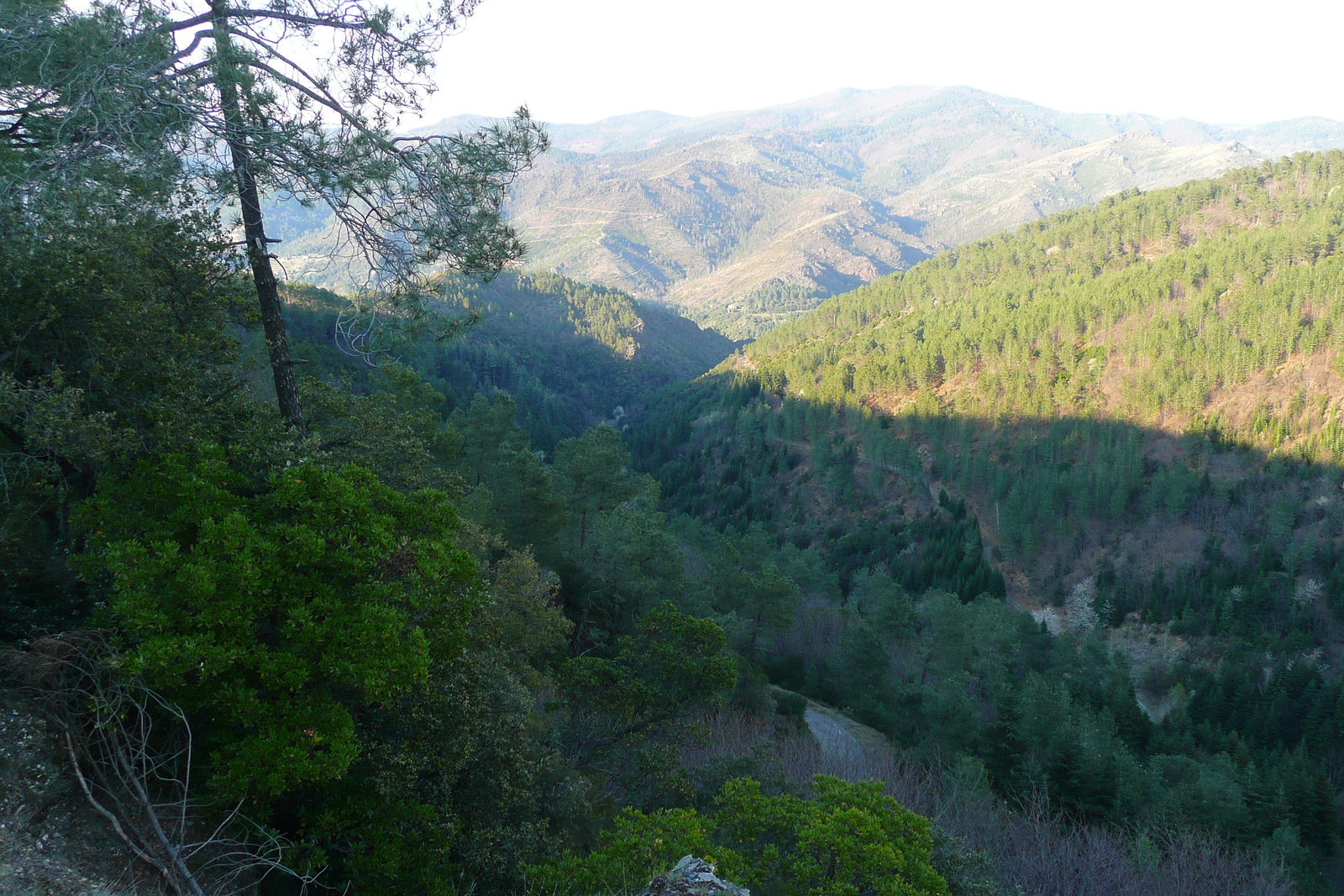 รูปถ่าย ฝรั่งเศส(France) เทือกเขาเซแวน(Cevennes Mountains) 2008-04 15