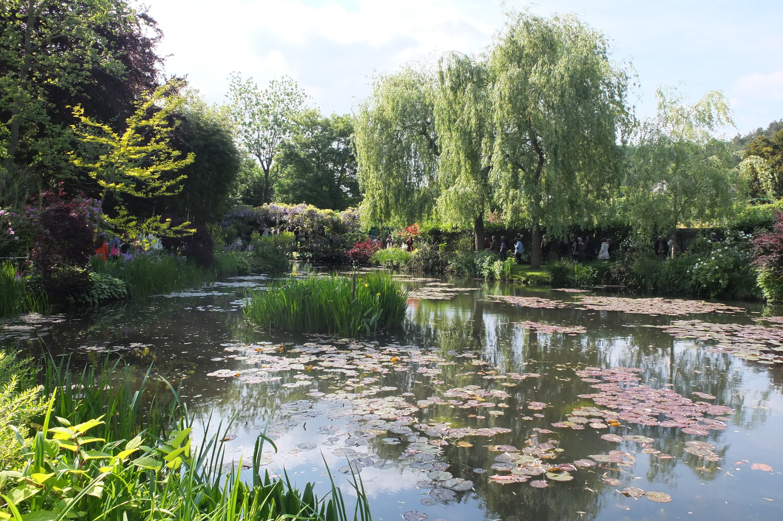 รูปถ่าย ฝรั่งเศส(France) ฌีแวร์นี(Giverny) 2013-06 178