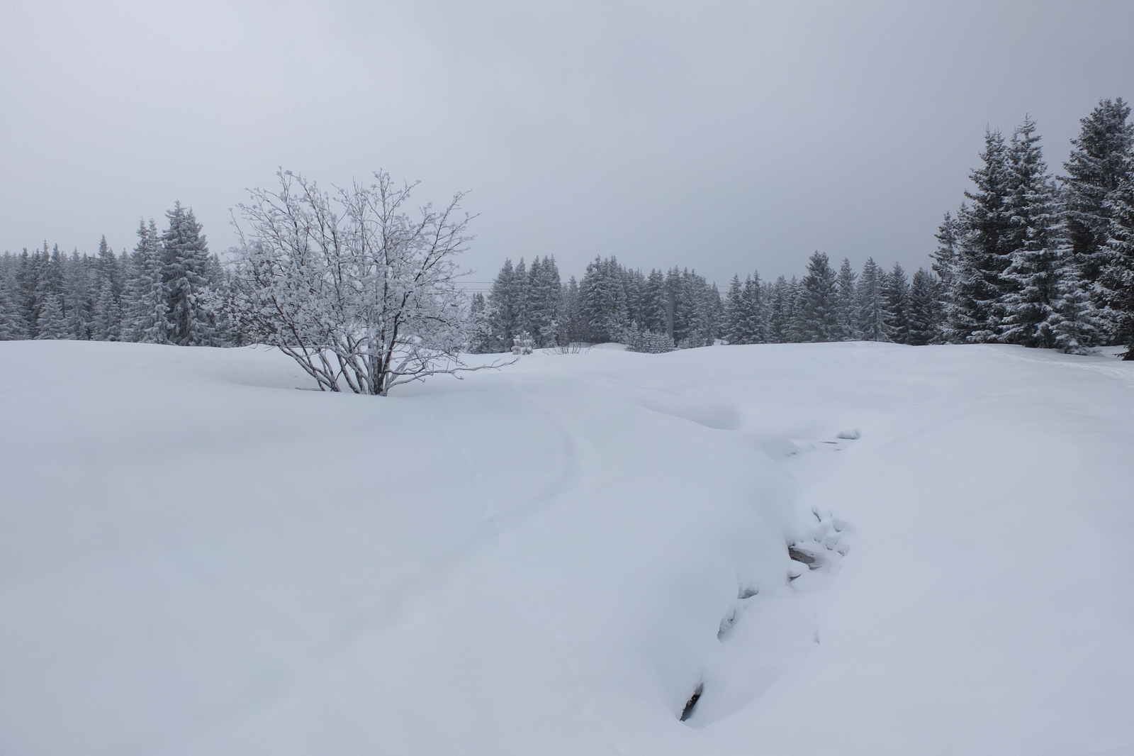 รูปถ่าย ฝรั่งเศส(France) เลทรัววาเล(Les 3 Vallees) 2013-03 400