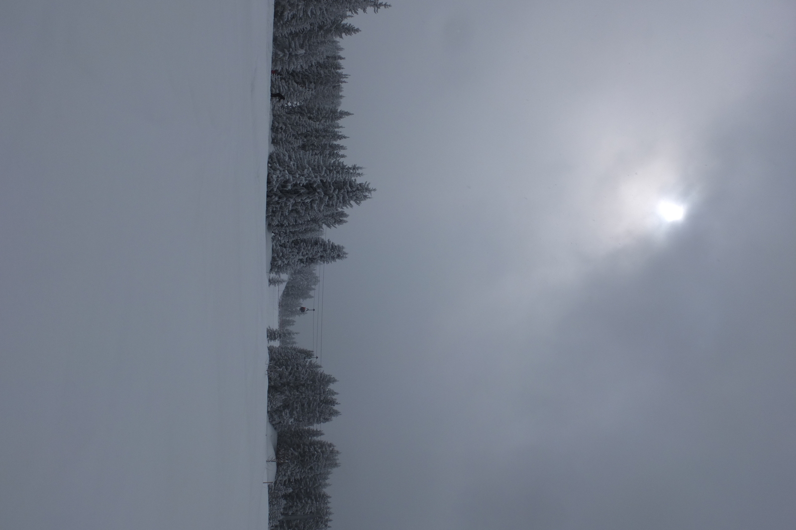 รูปถ่าย ฝรั่งเศส(France) เลทรัววาเล(Les 3 Vallees) 2013-03 131