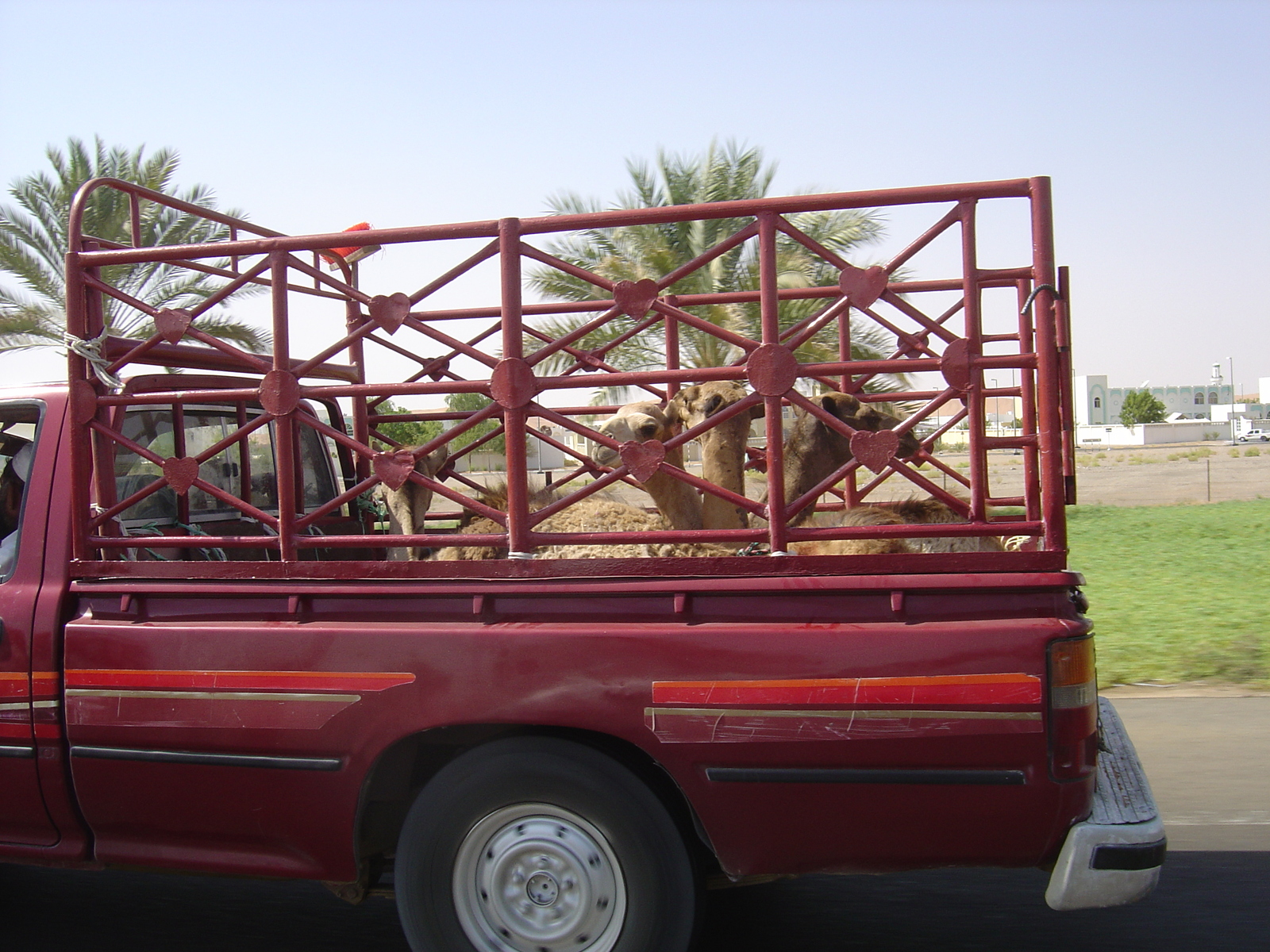 รูปถ่าย สหรัฐอาหรับเอมิเรตส์(United Arab Emirates) จากอัลเลอินไปถนนอาบูดาบี(Al Ain to Abu Dhabi Road) 2005-09 0