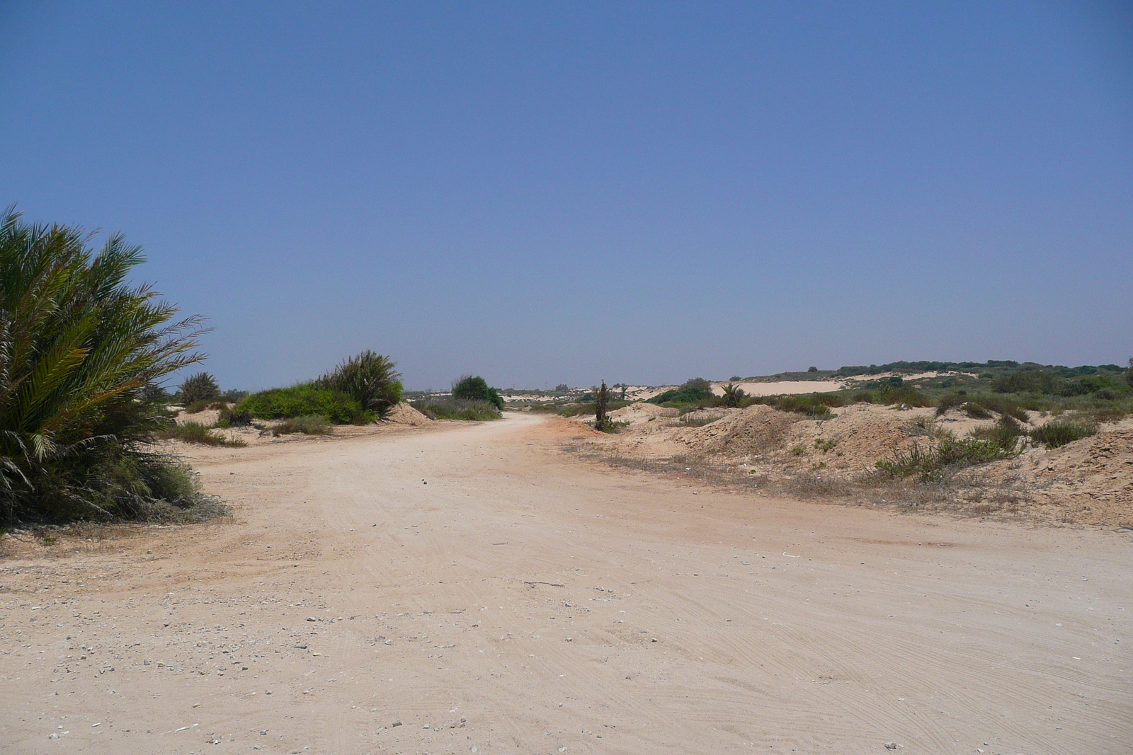 รูปถ่าย อิสราเอล(Israel) นิทซาน(Nitzan) 2007-06 85