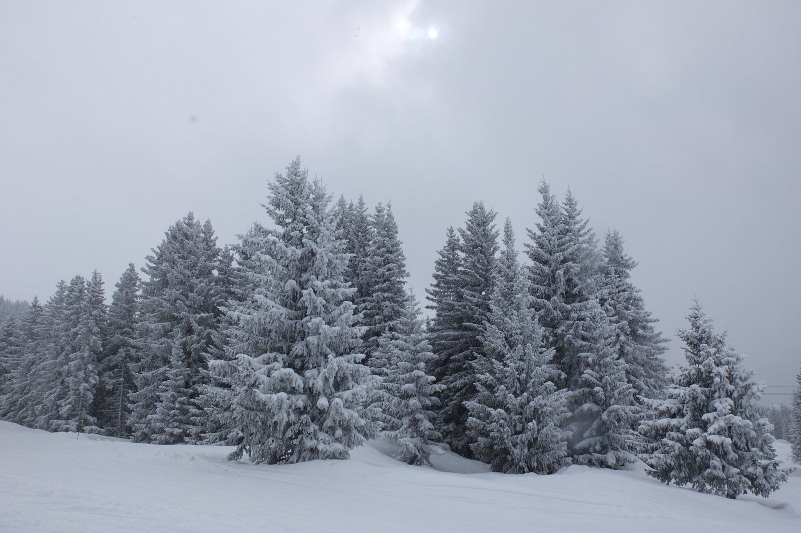 รูปถ่าย ฝรั่งเศส(France) เลทรัววาเล(Les 3 Vallees) 2013-03 102