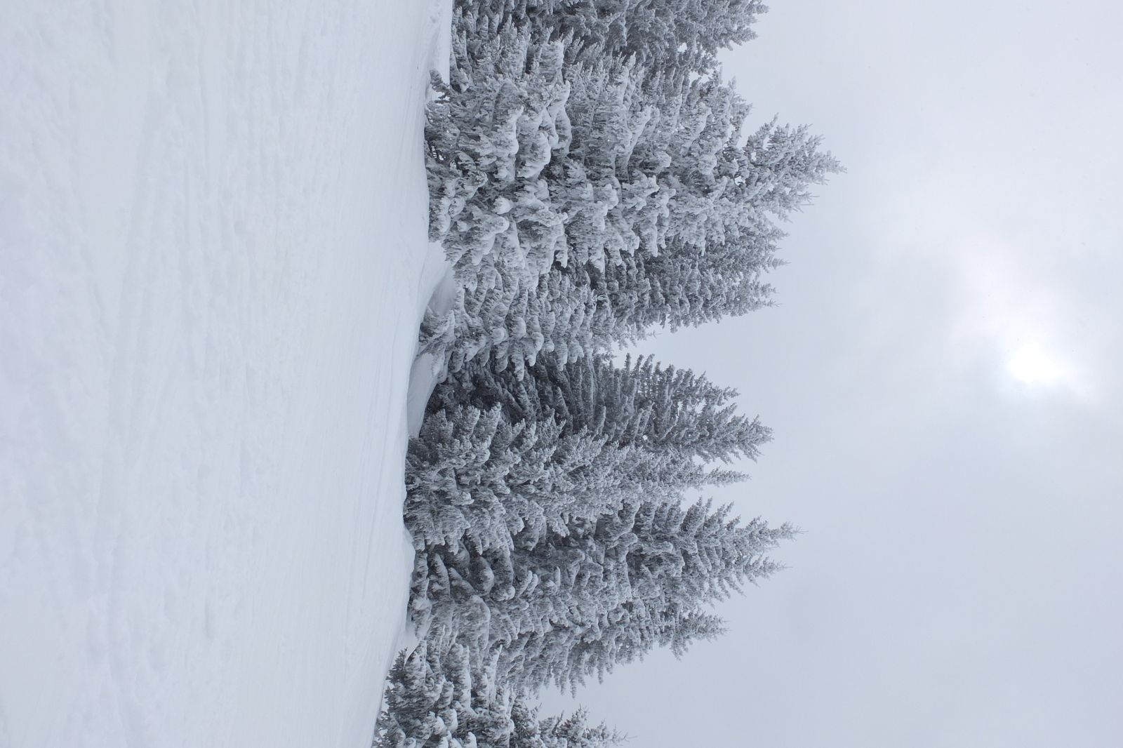 รูปถ่าย ฝรั่งเศส(France) เลทรัววาเล(Les 3 Vallees) 2013-03 7