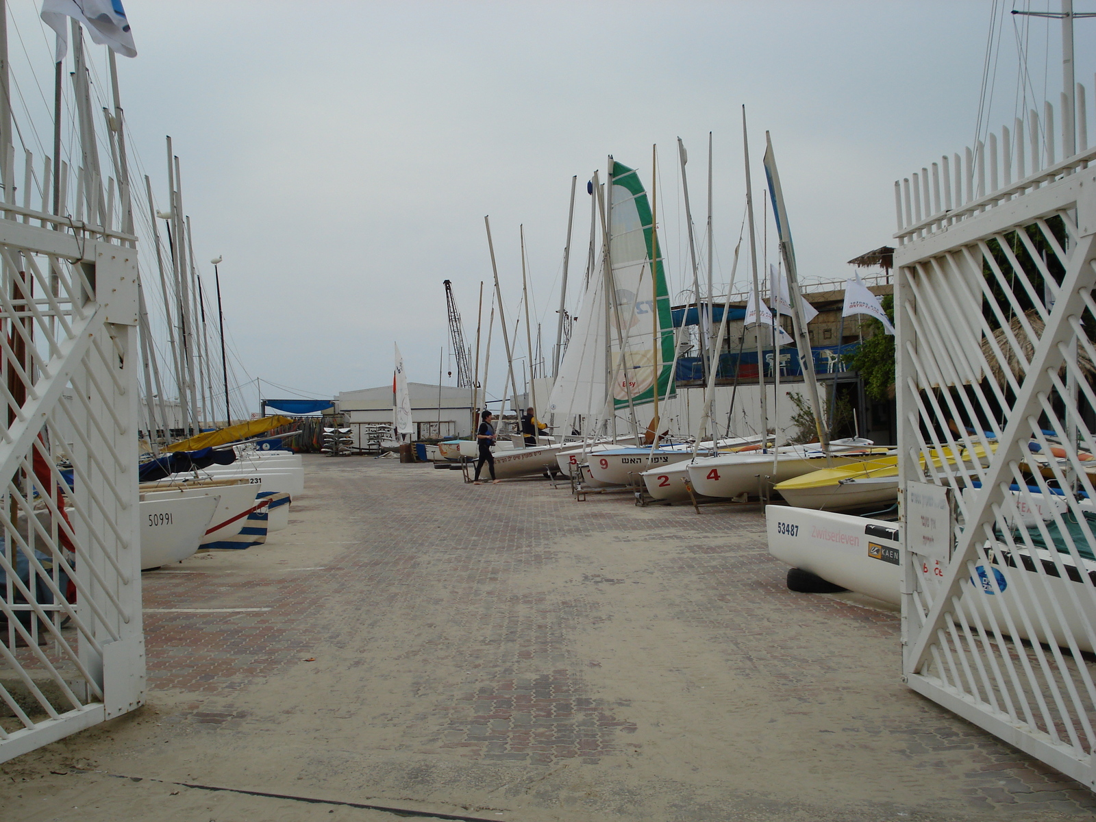 รูปถ่าย อิสราเอล(Israel) เทลอาวีฟ(Tel Aviv) ชายหาดเทลอาวีฟ(Tel Aviv Sea Shore) 2006-12 252