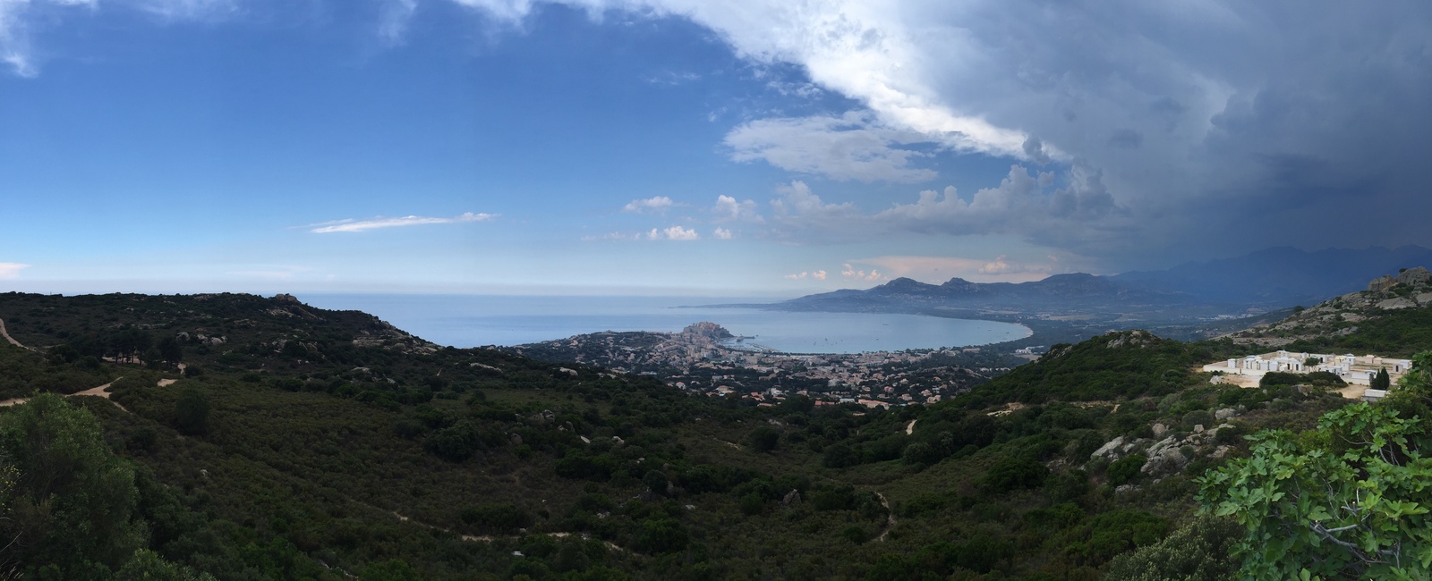 รูปถ่าย ฝรั่งเศส(France) คอร์สิคา(Corsica) คาลวี(Calvi) 2015-05 4