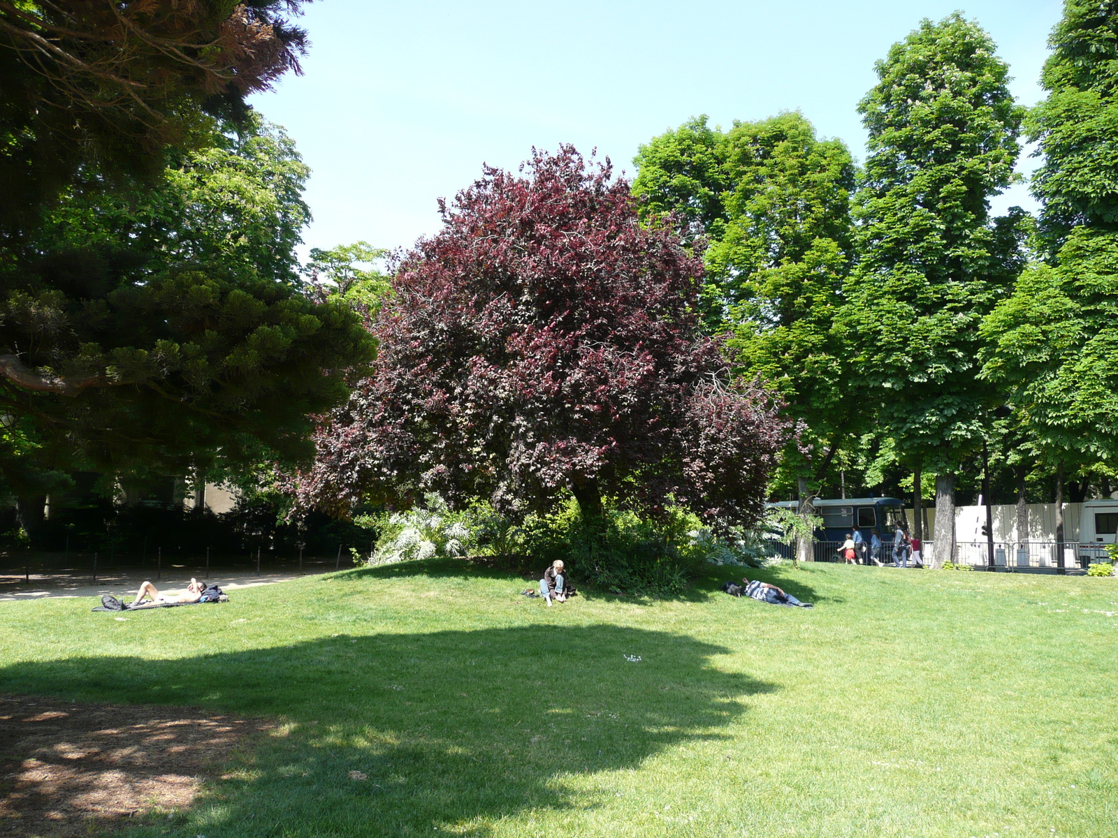 รูปถ่าย ฝรั่งเศส(France) ปารีส(Paris) ช็องเซลีเซ(Champs Elysees) 2007-05 17