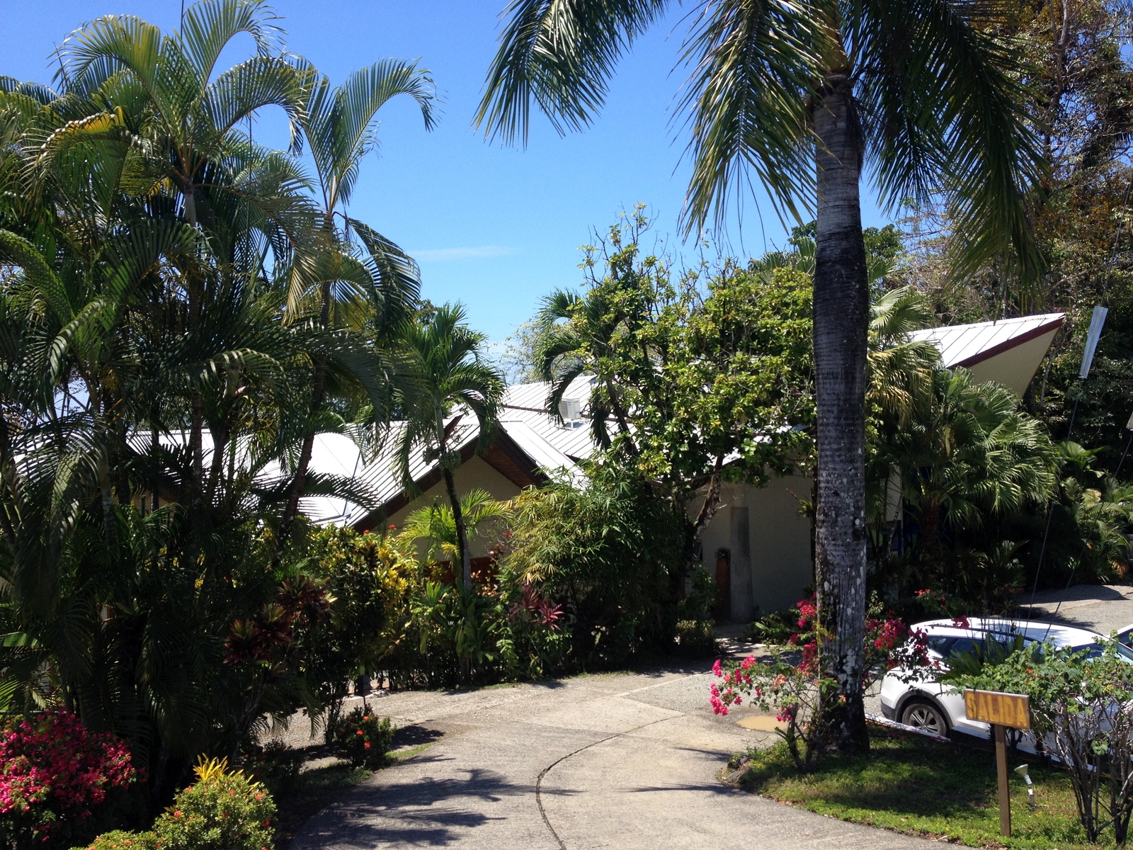 รูปถ่าย คอสตาริกา(Costa Rica) มานวยล์อันโตนีโอ(Manuel Antonio) 2015-03 497