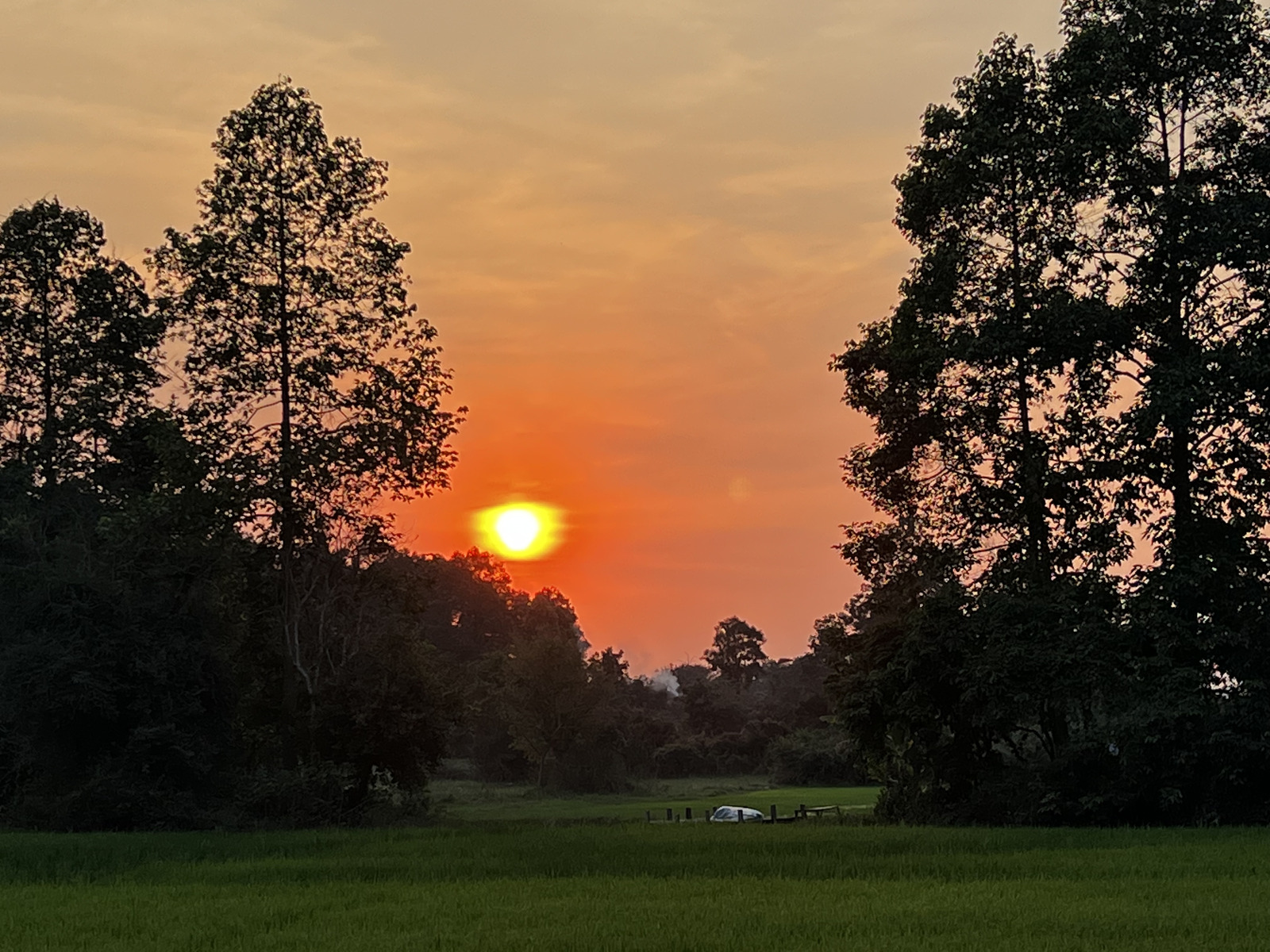 รูปถ่าย กัมพูชา(Cambodia) เสียมราฐ(Siem Reap) 2023-01 80