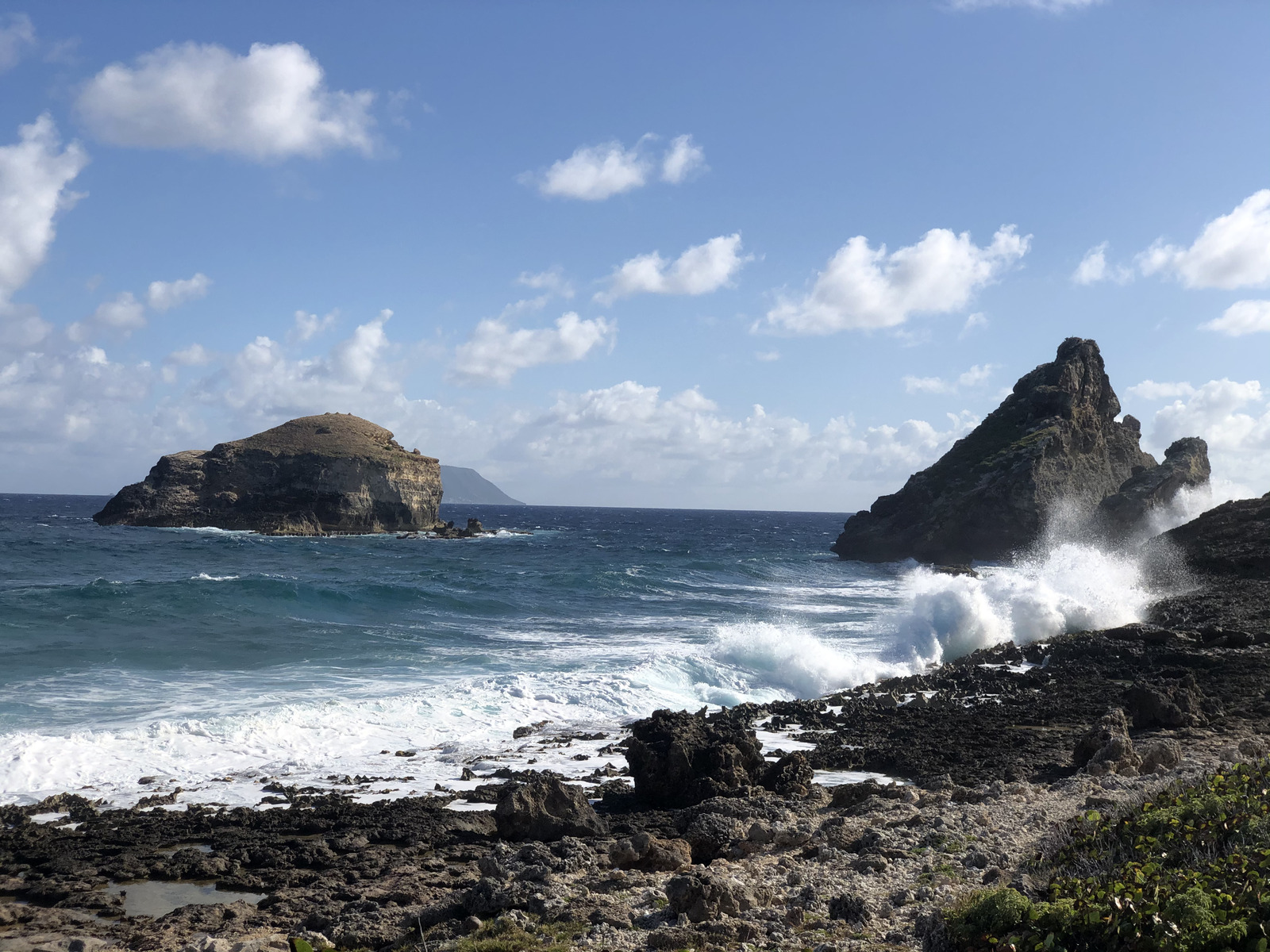 รูปถ่าย กวาเดอลูป(Guadeloupe) แหลมคาสเซิลพอยต์(Castle Point) 2021-02 286
