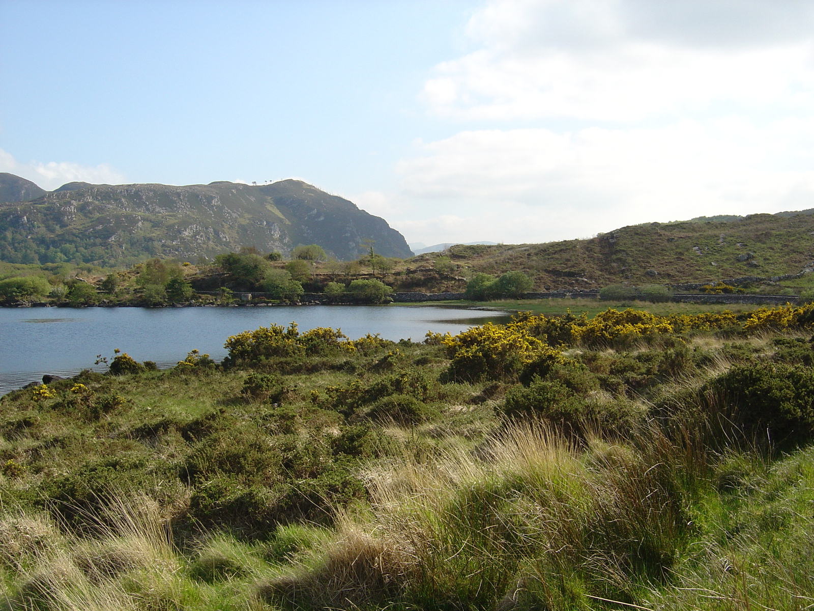 รูปถ่าย ไอร์แลนด์(Ireland) เคอร์รี่(Kerry) ทะเลสาบคารา(Caragh Lake) 2004-05 23
