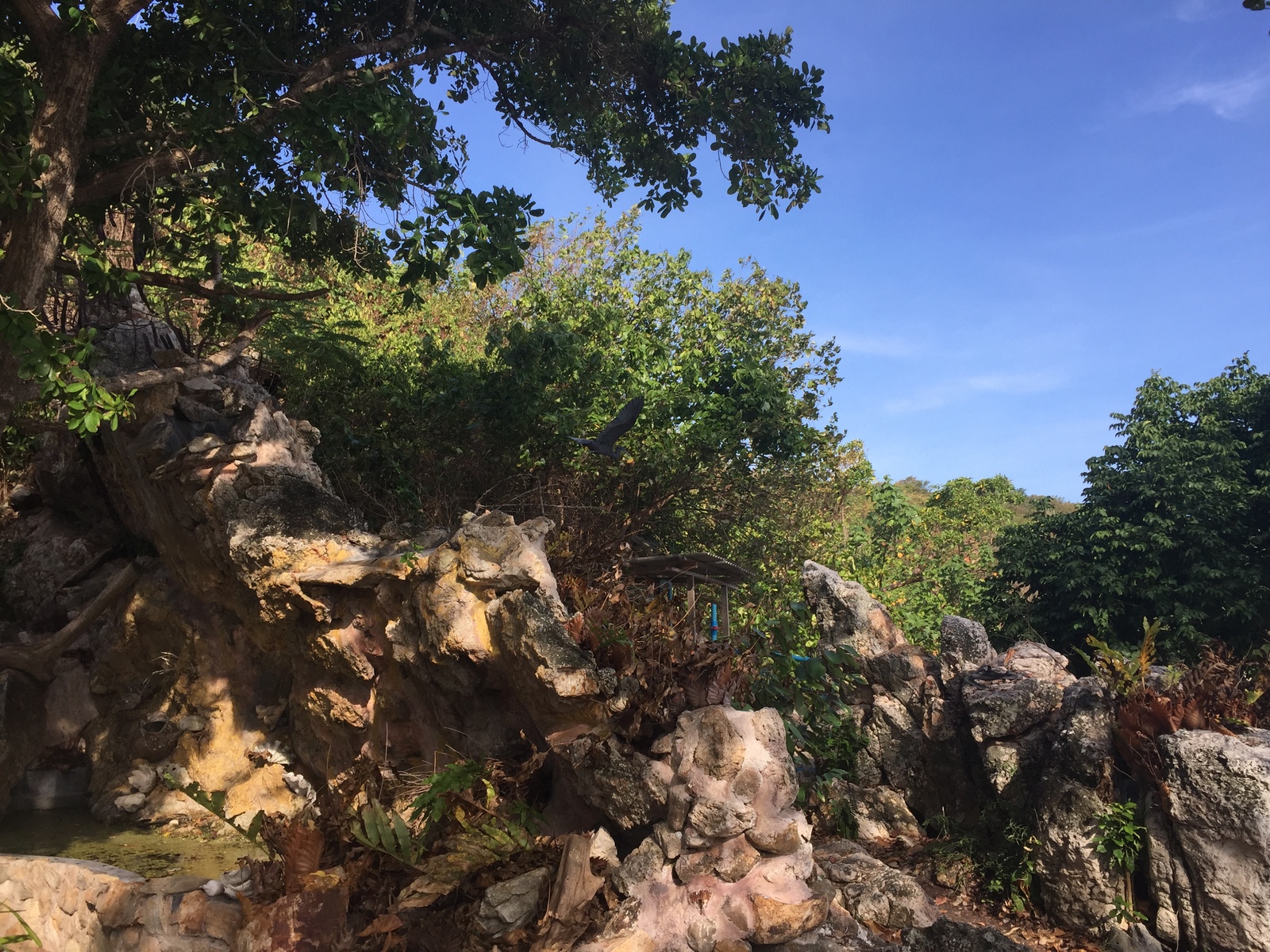 รูปถ่าย ไทย(Thailand) เกาะเสม็ด(Ko Samet) 2016-12 41