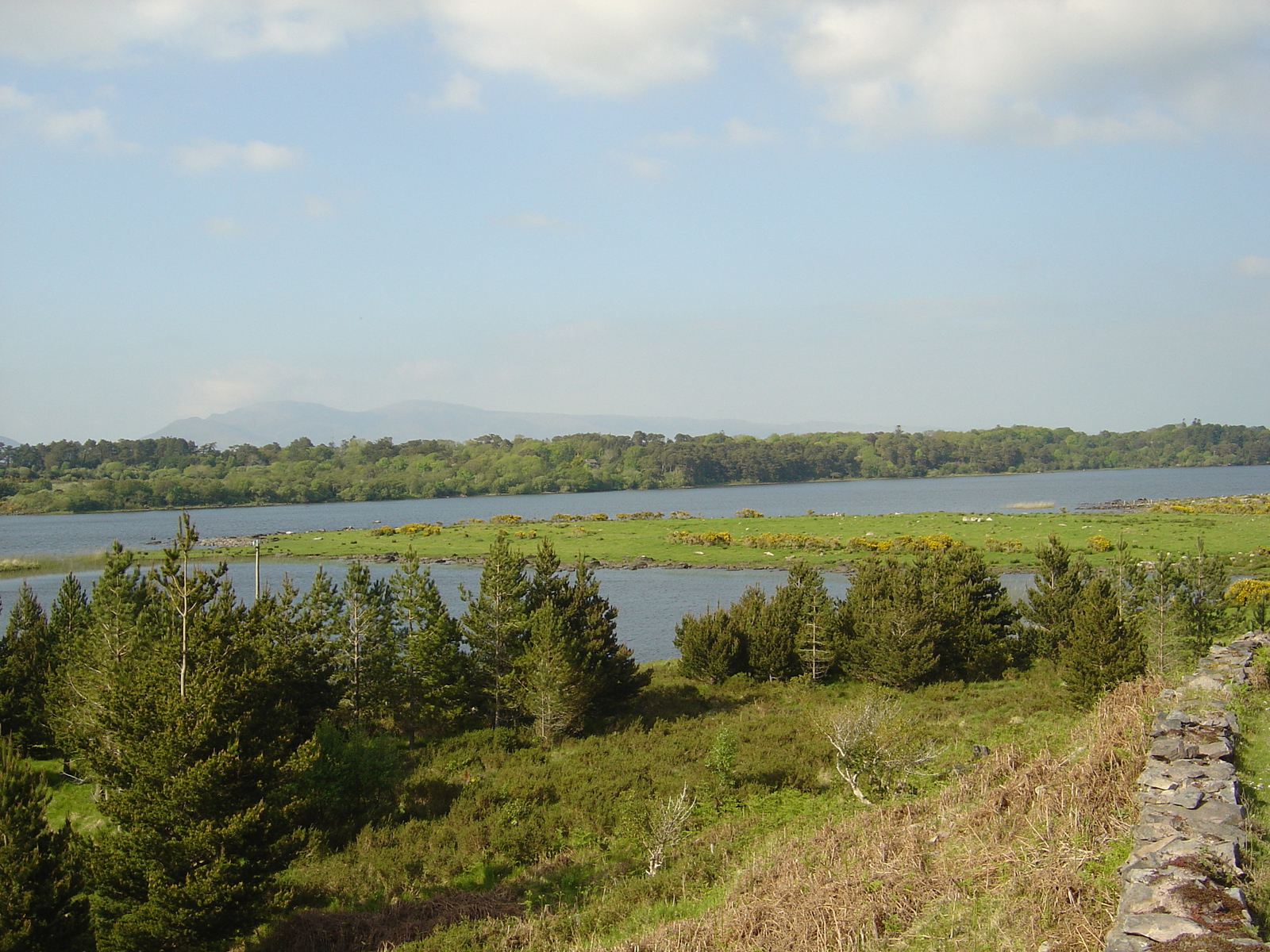 รูปถ่าย ไอร์แลนด์(Ireland) เคอร์รี่(Kerry) ทะเลสาบคารา(Caragh Lake) 2004-05 44