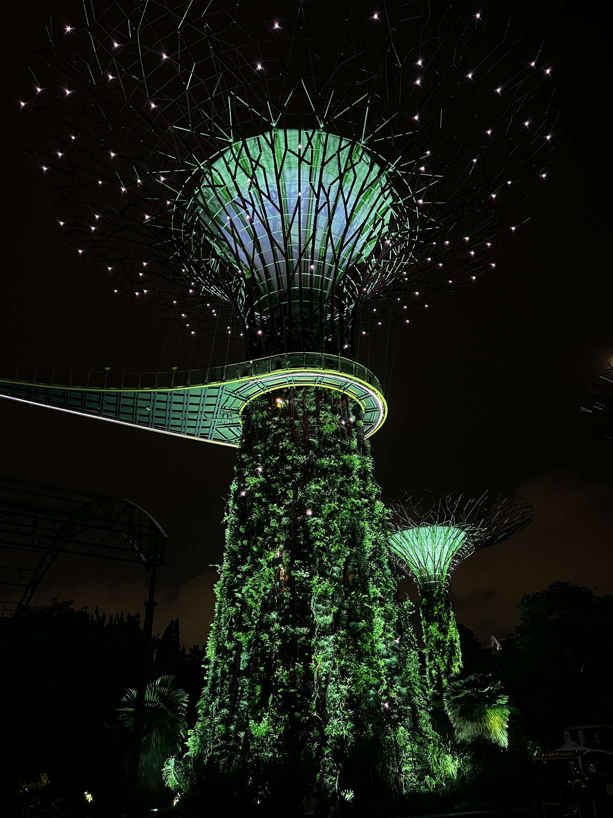 รูปถ่าย สิงคโปร์(Singapore) การ์เดนส์บายเดอะเบย์(Garden by the bay) 2023-01 24