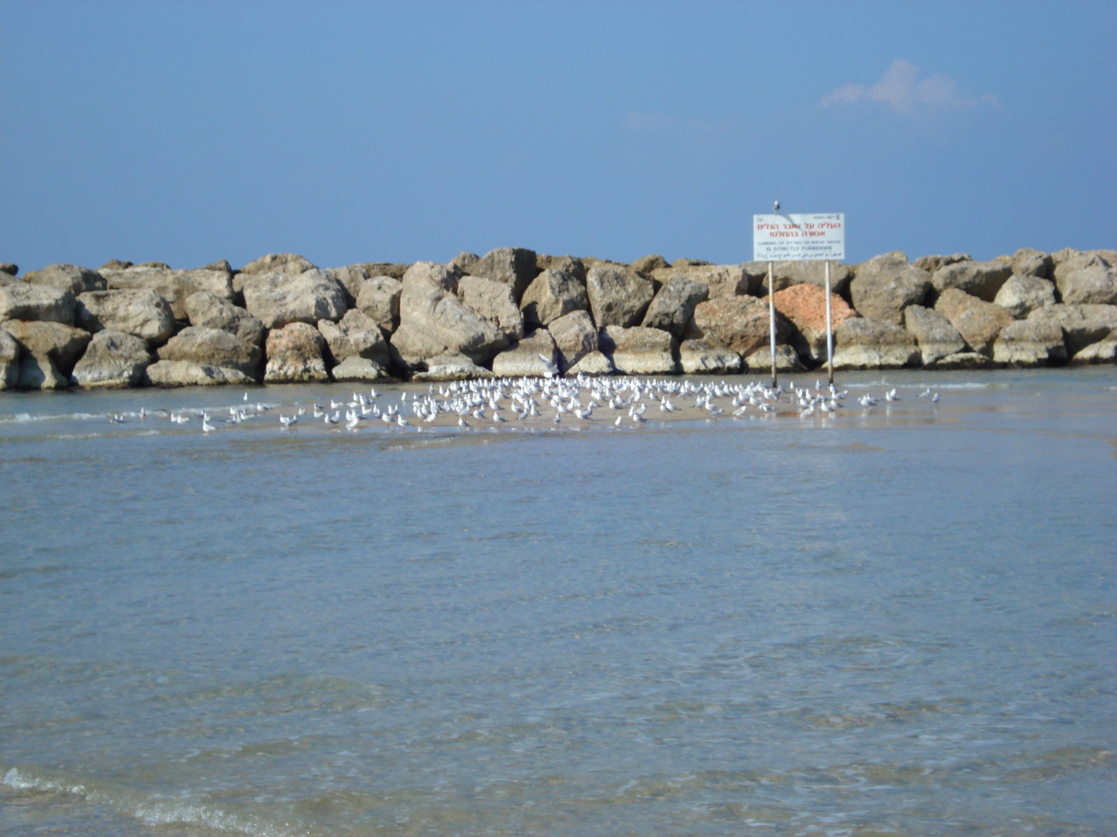 รูปถ่าย อิสราเอล(Israel) เฮิร์สลียา(Herzliya) 2006-12 32